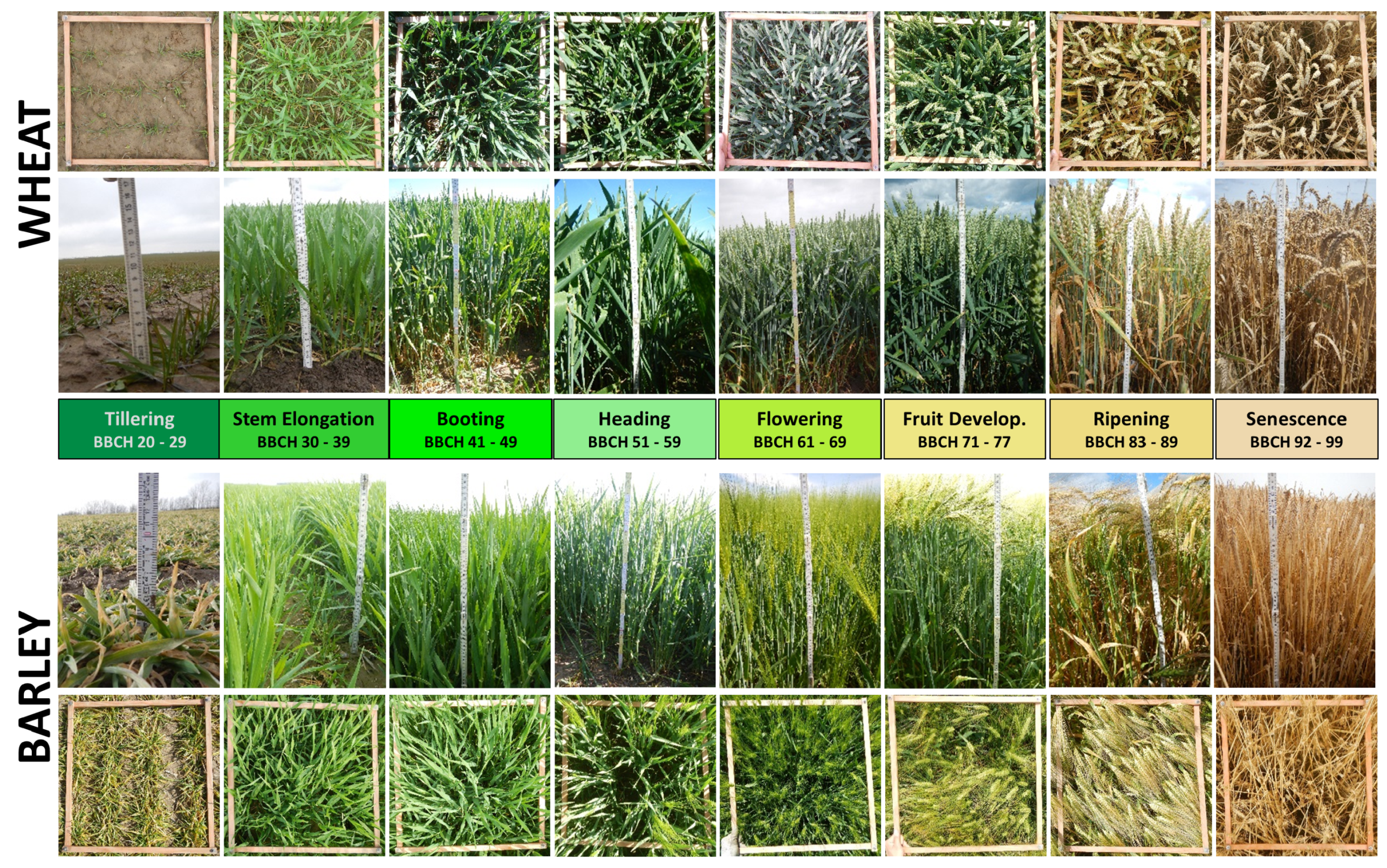 Remotesensing 13 00575 g003 Remotesensing 13 00575 g003