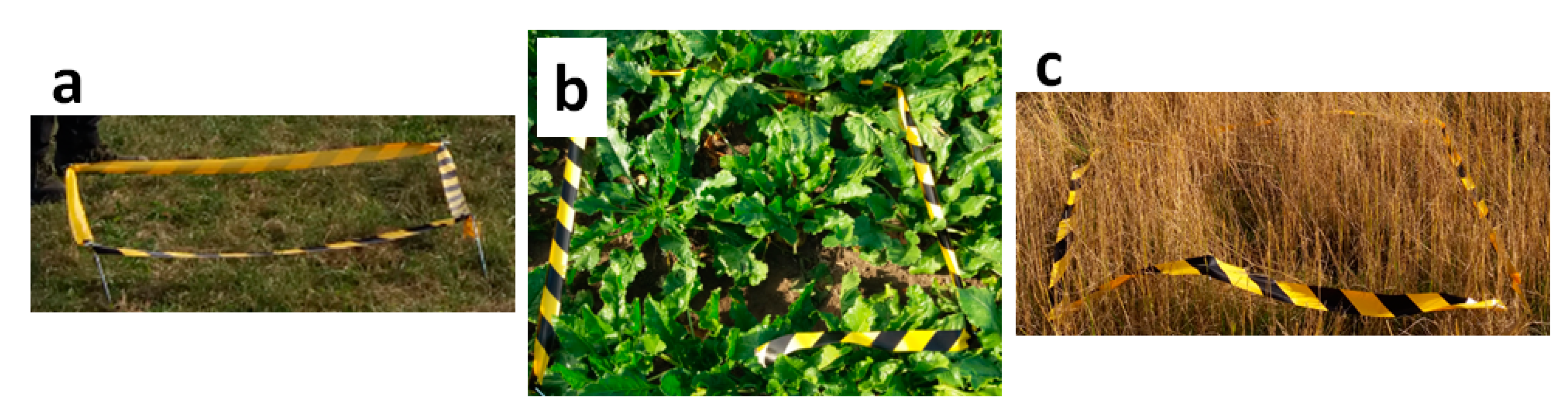 Remotesensing 13 00577 g006