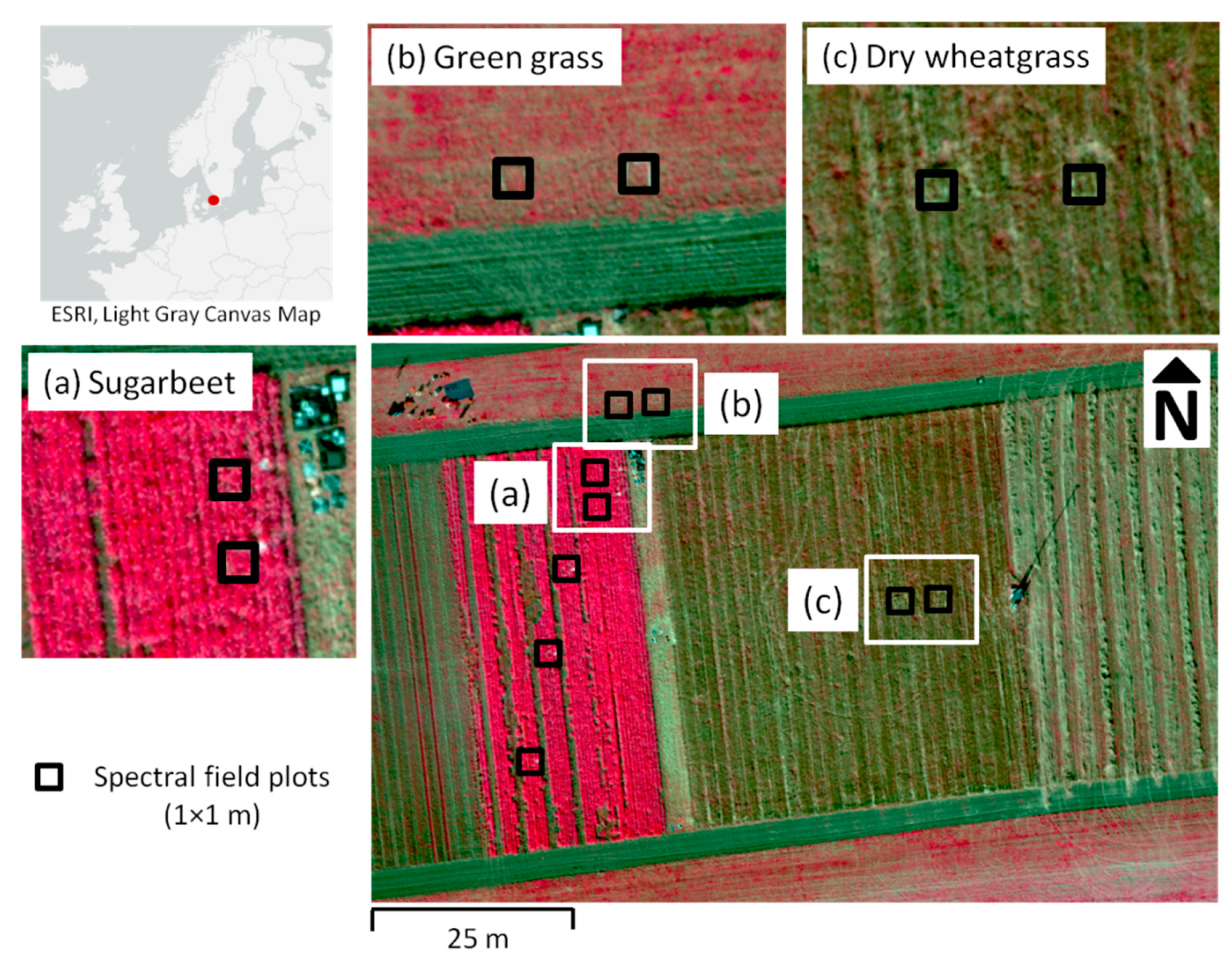 Remotesensing 13 00577 g016