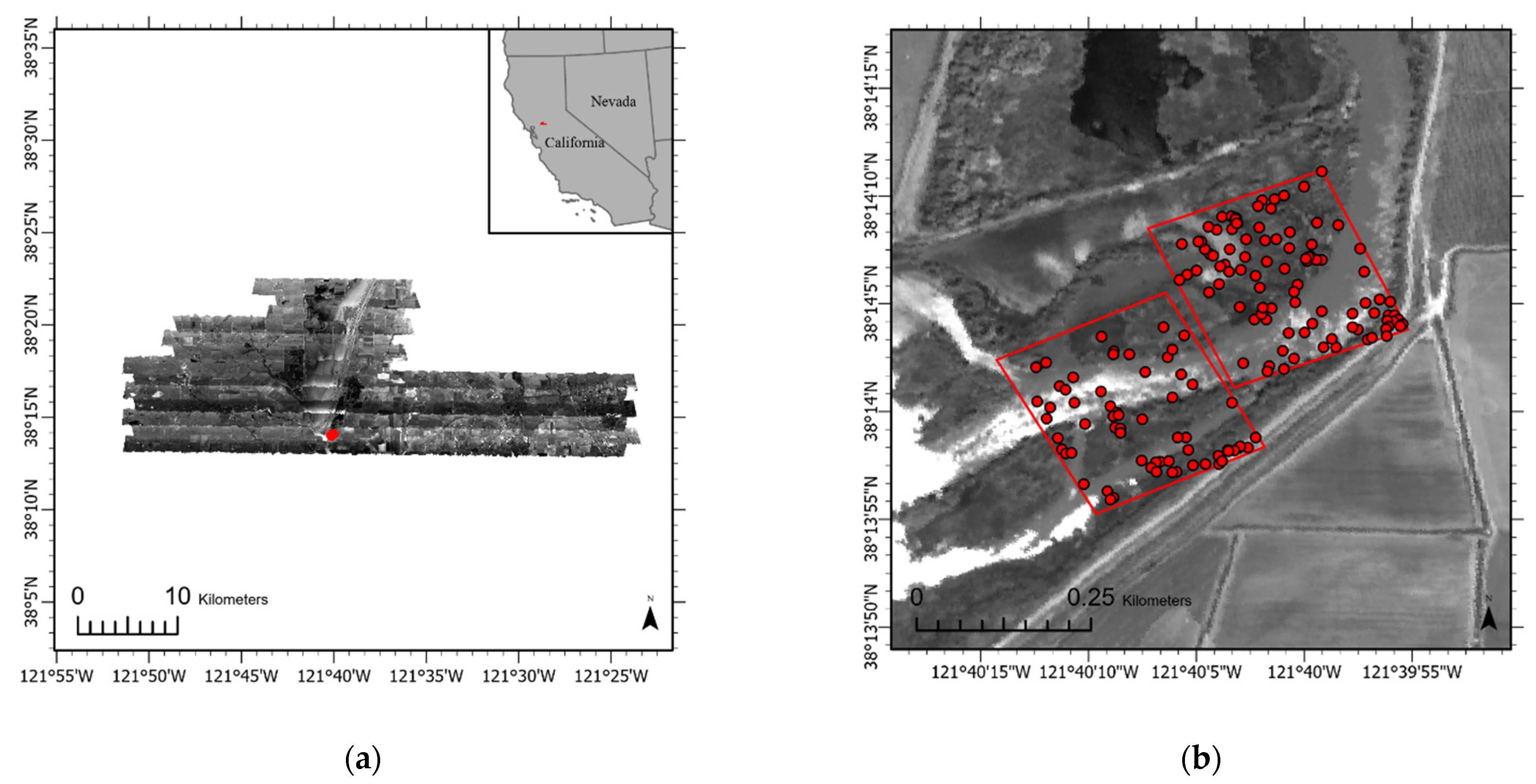 Remotesensing 13 00582 g001