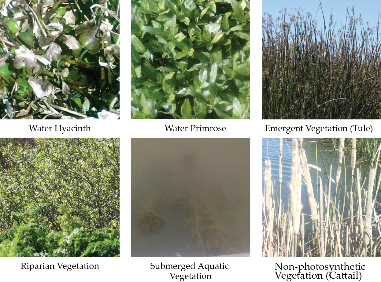 Remotesensing 13 00582 g002