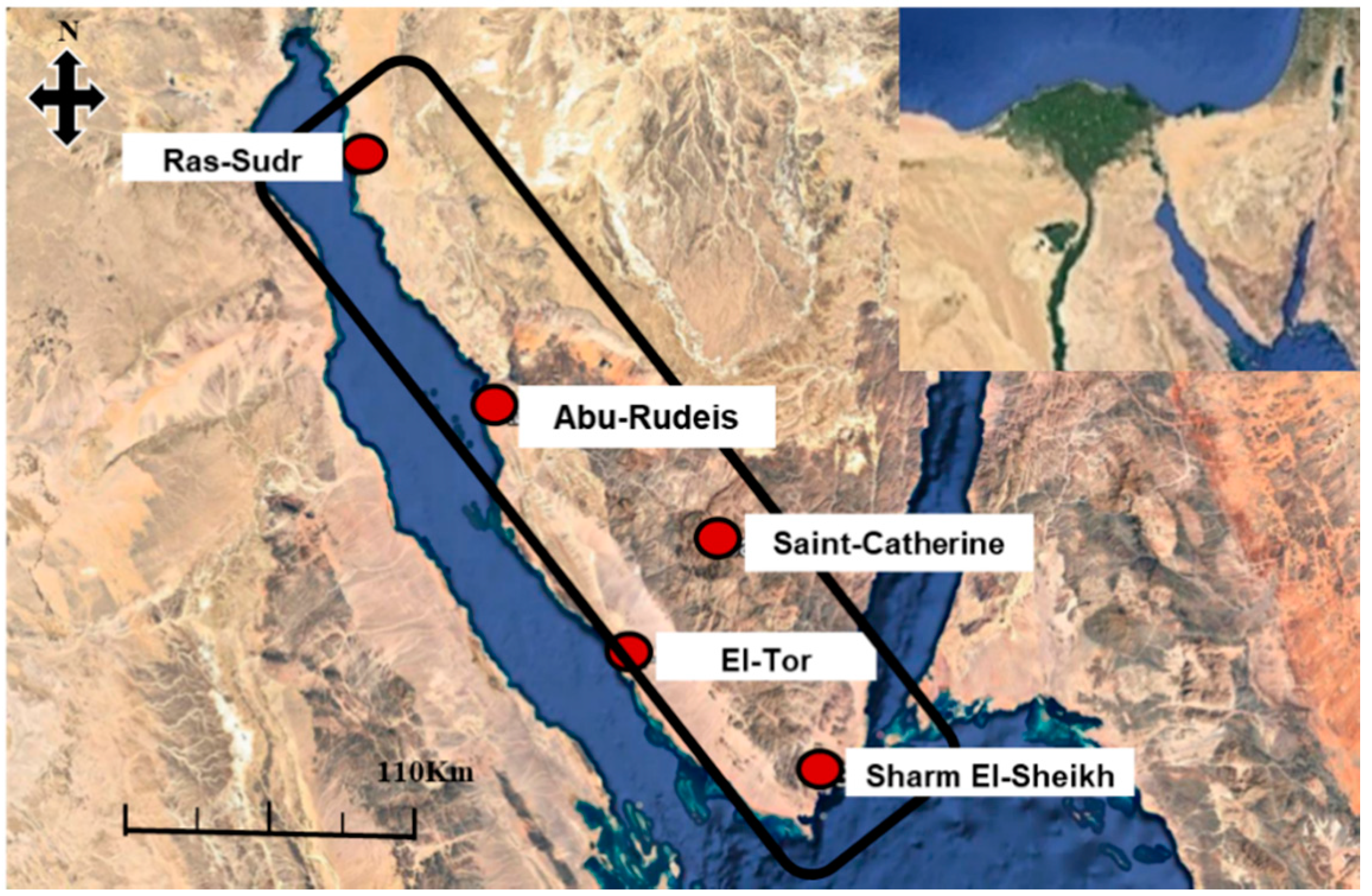 Remotesensing 13 00588 g001