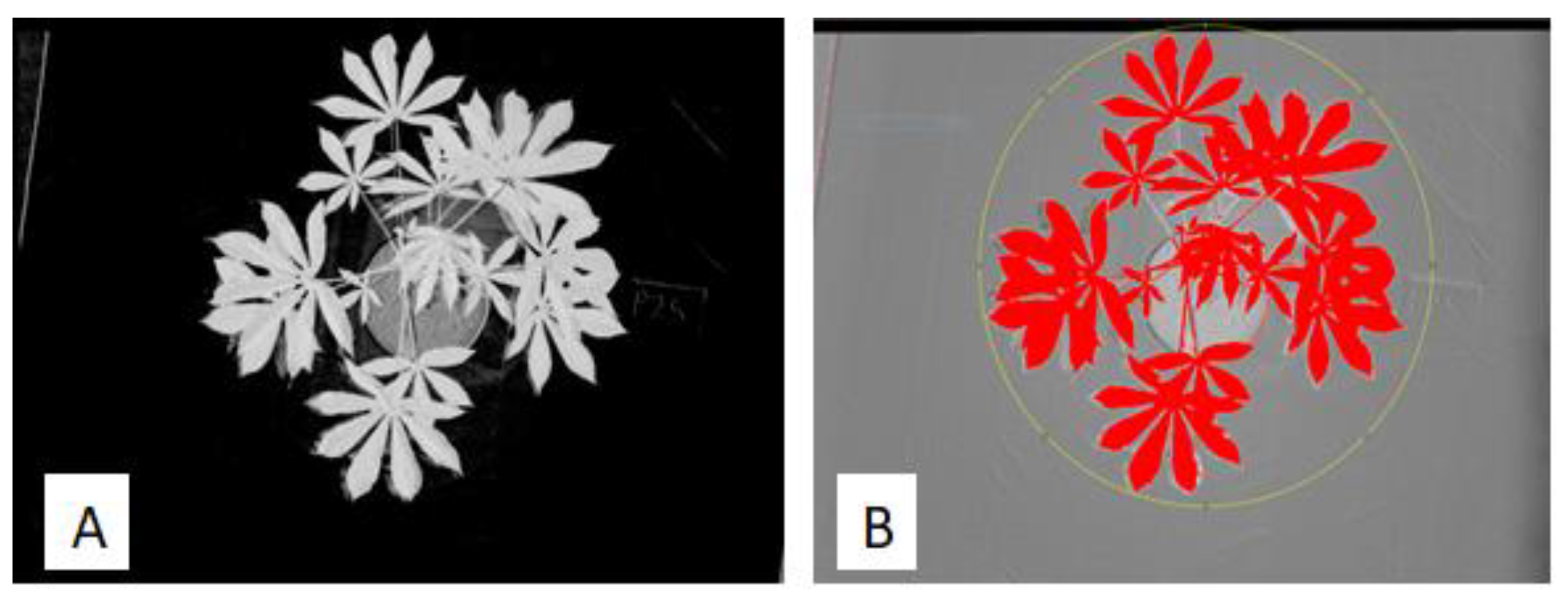 Remotesensing 13 00598 g001