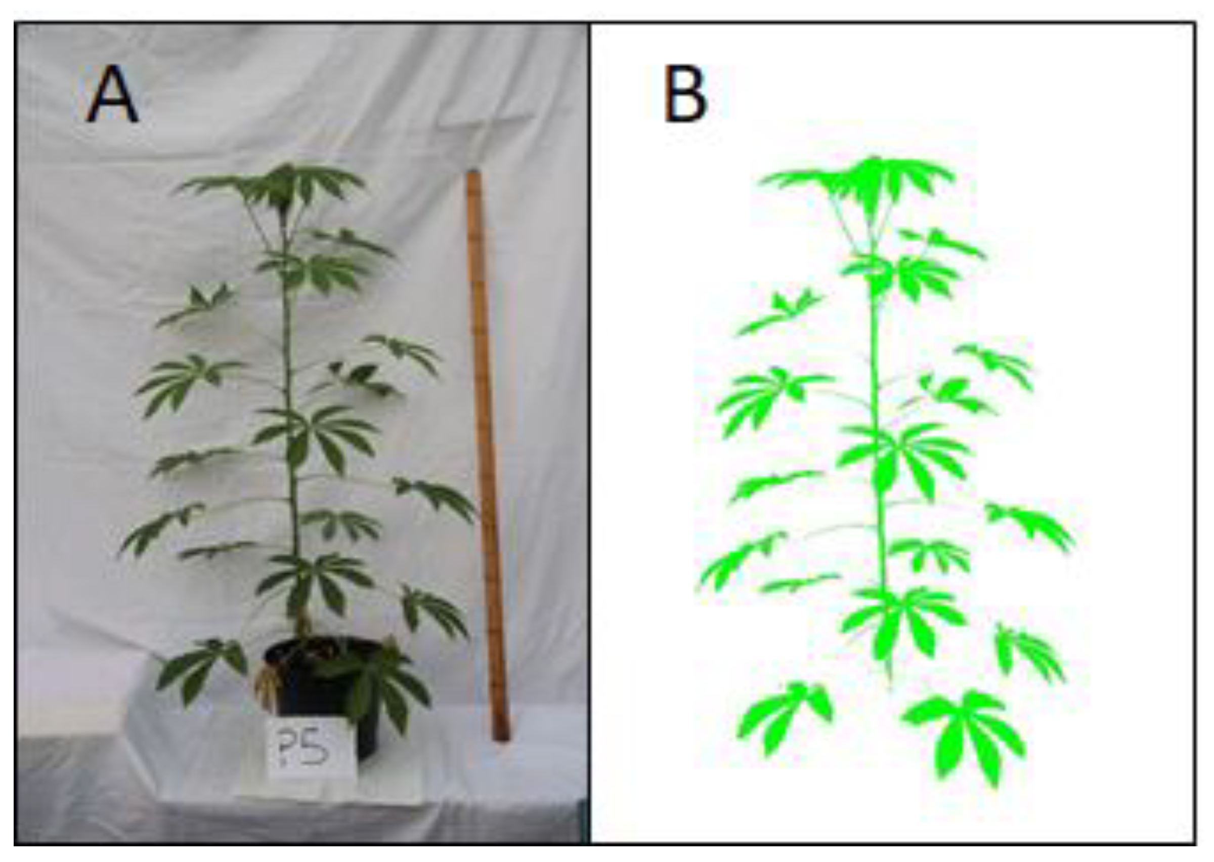 Remotesensing 13 00598 g003