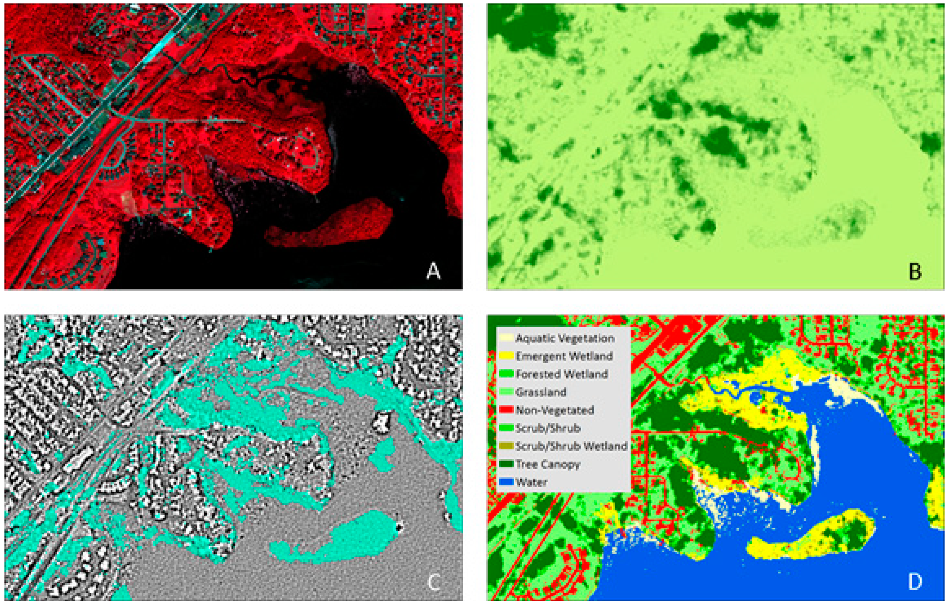 Remotesensing 13 00599 g007