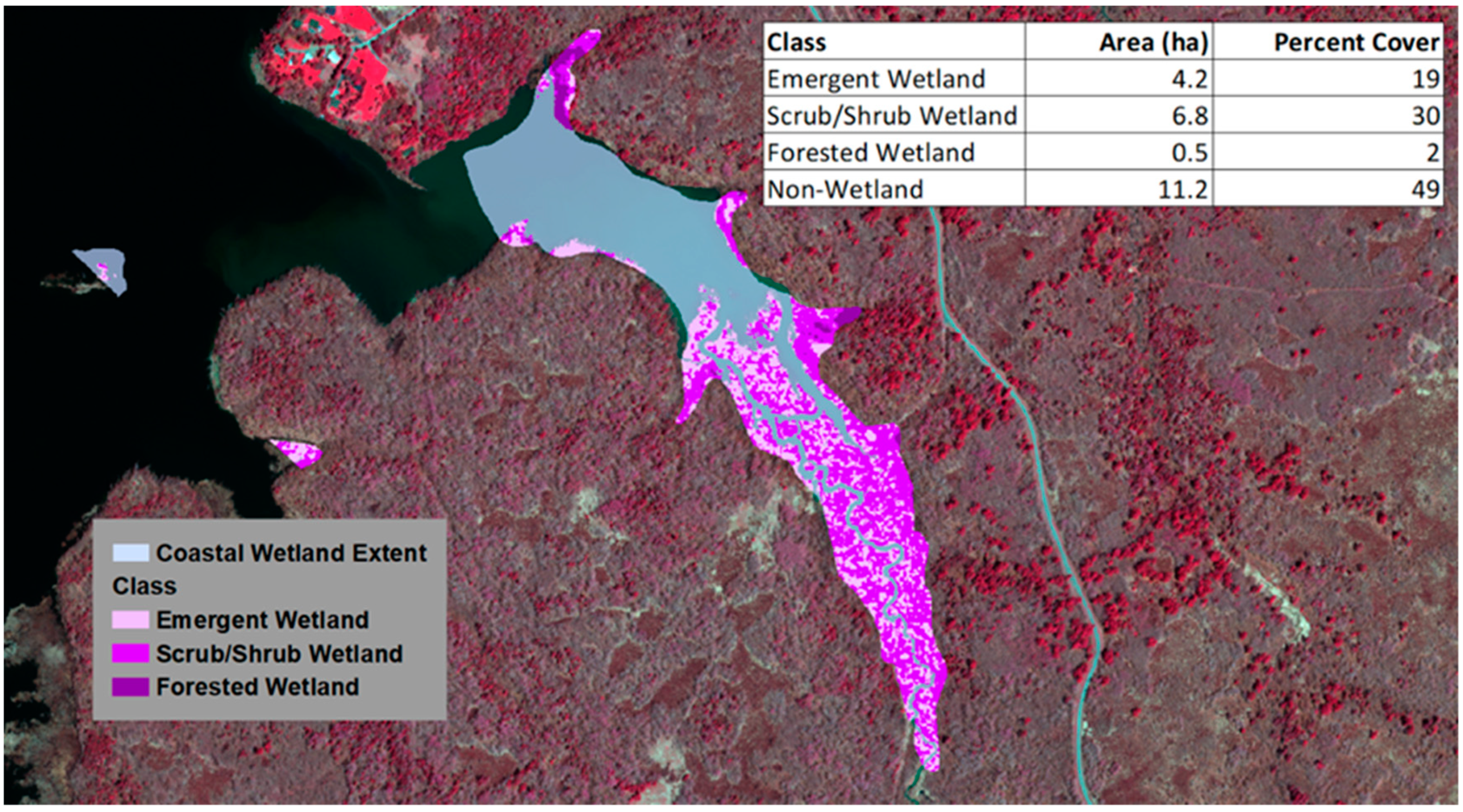 Remotesensing 13 00599 g009