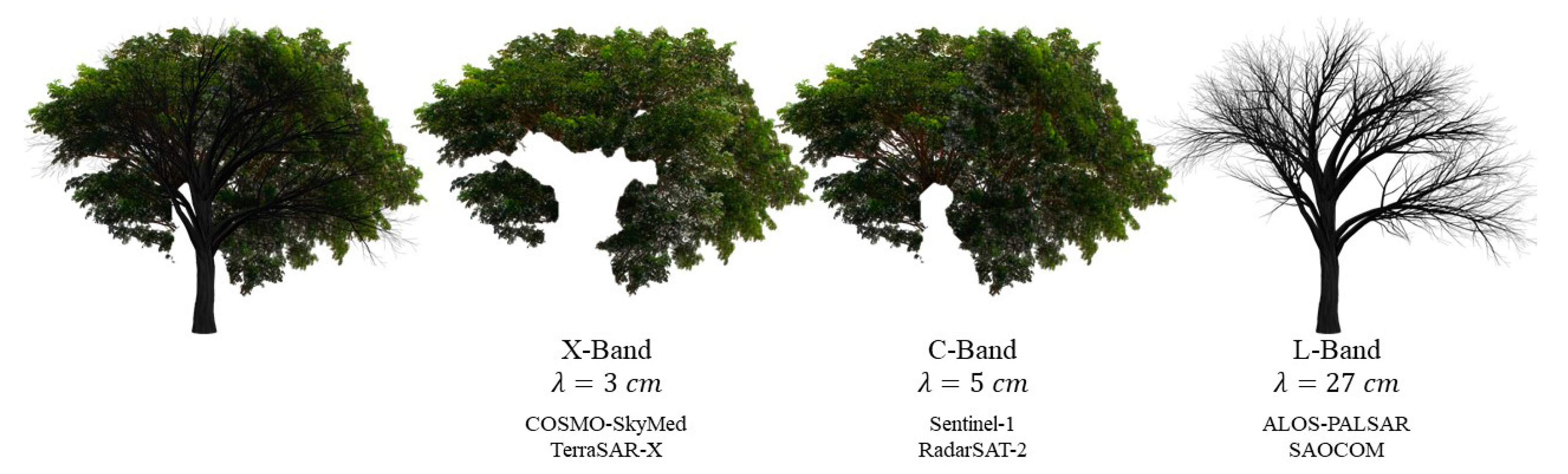 Remotesensing 13 00604 g007