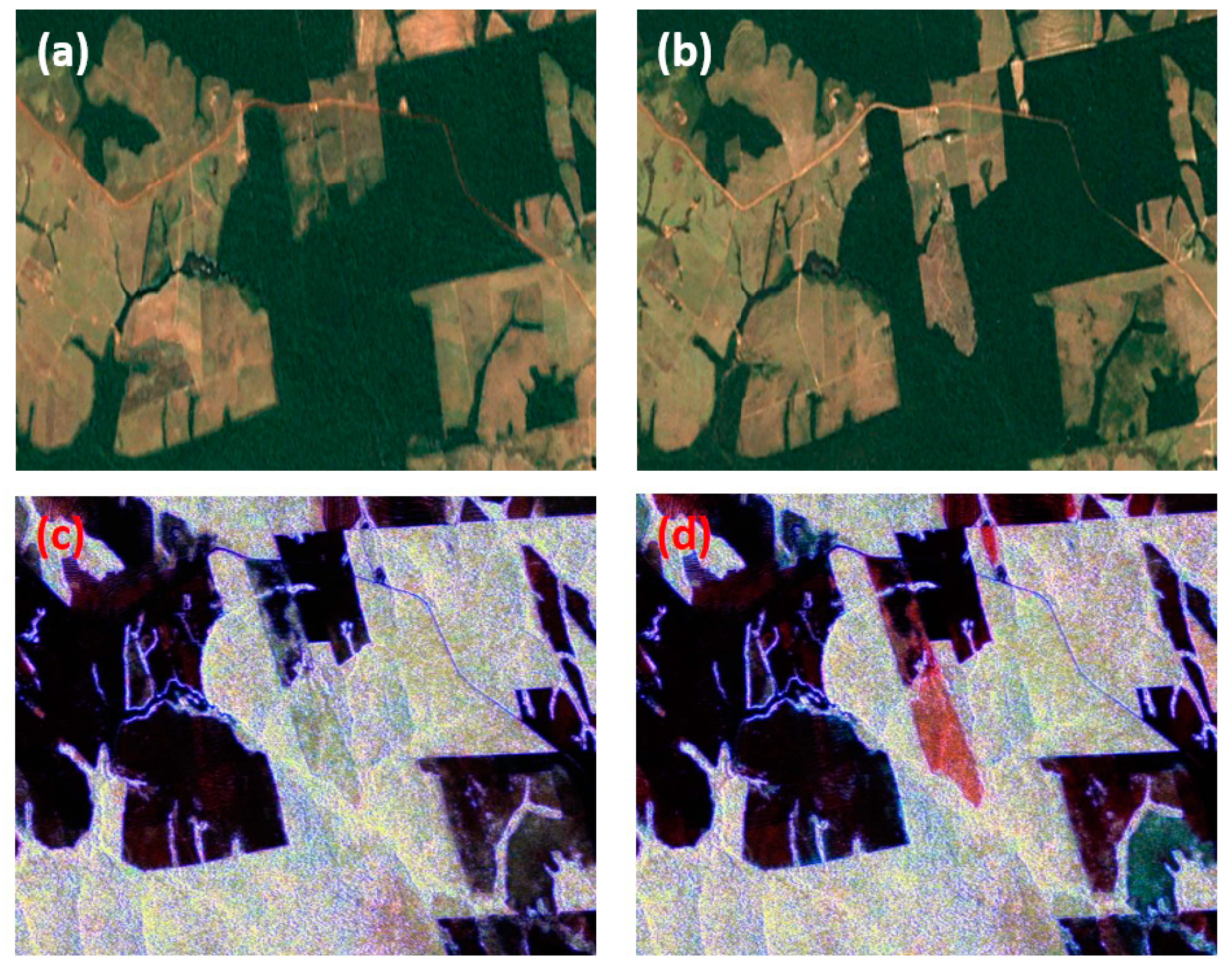 Remotesensing 13 00604 g010a