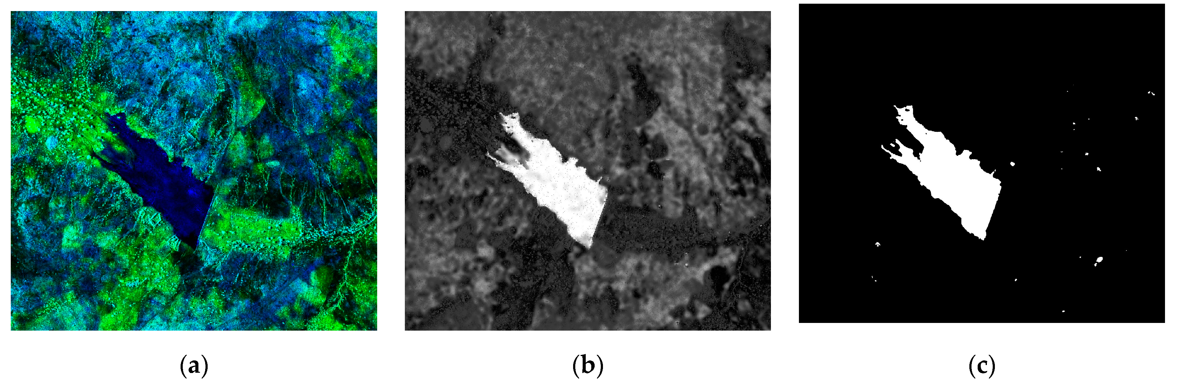 Remotesensing 13 00604 g013