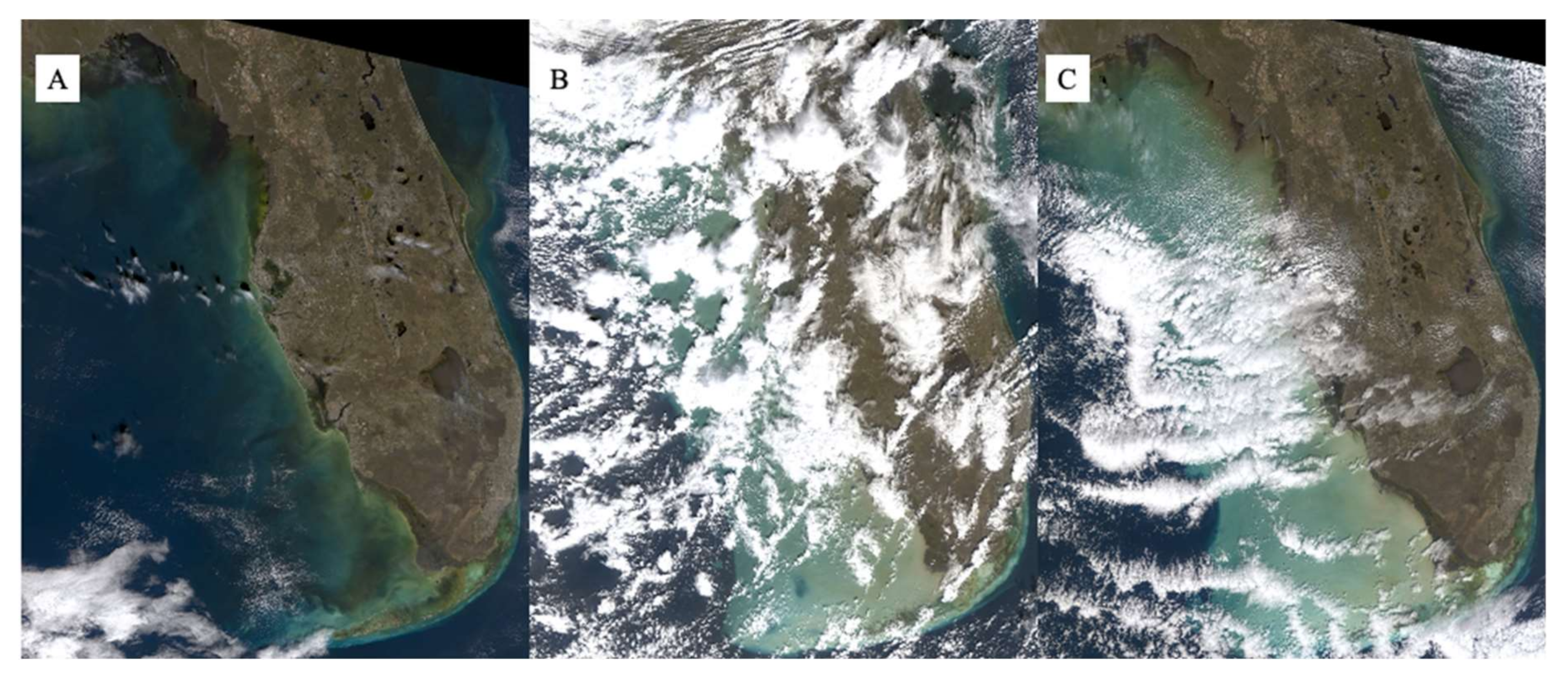 Remotesensing 13 00619 g003