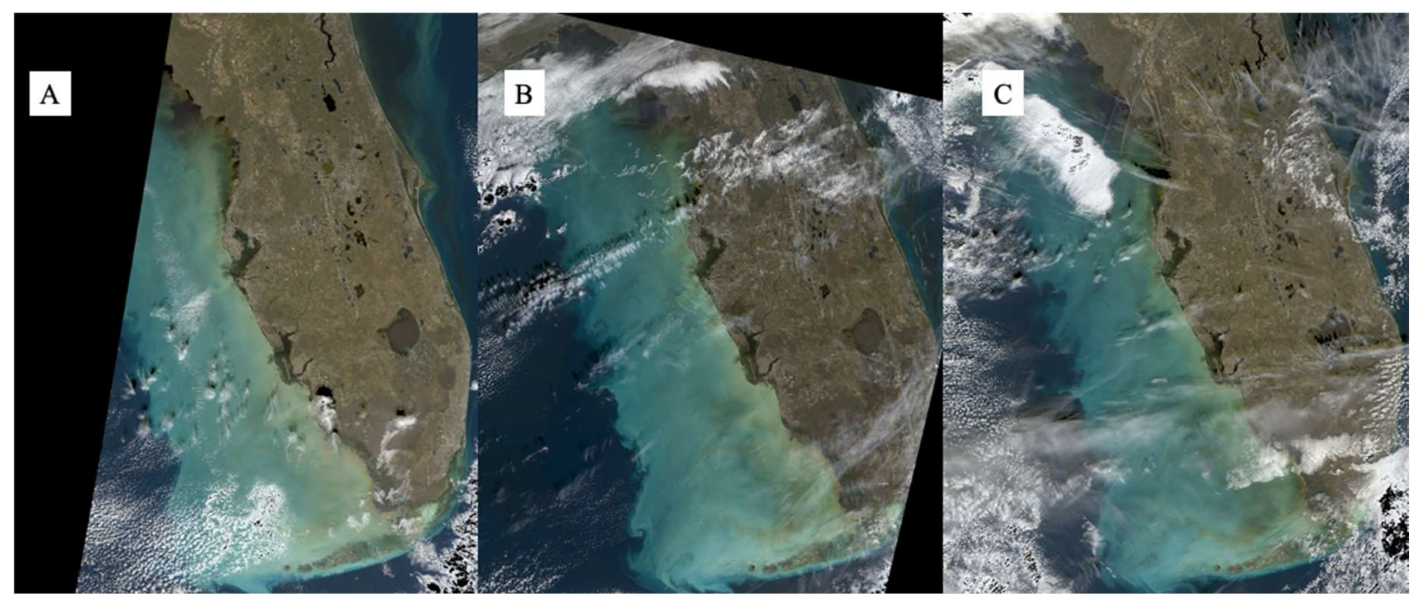 Remotesensing 13 00619 g004