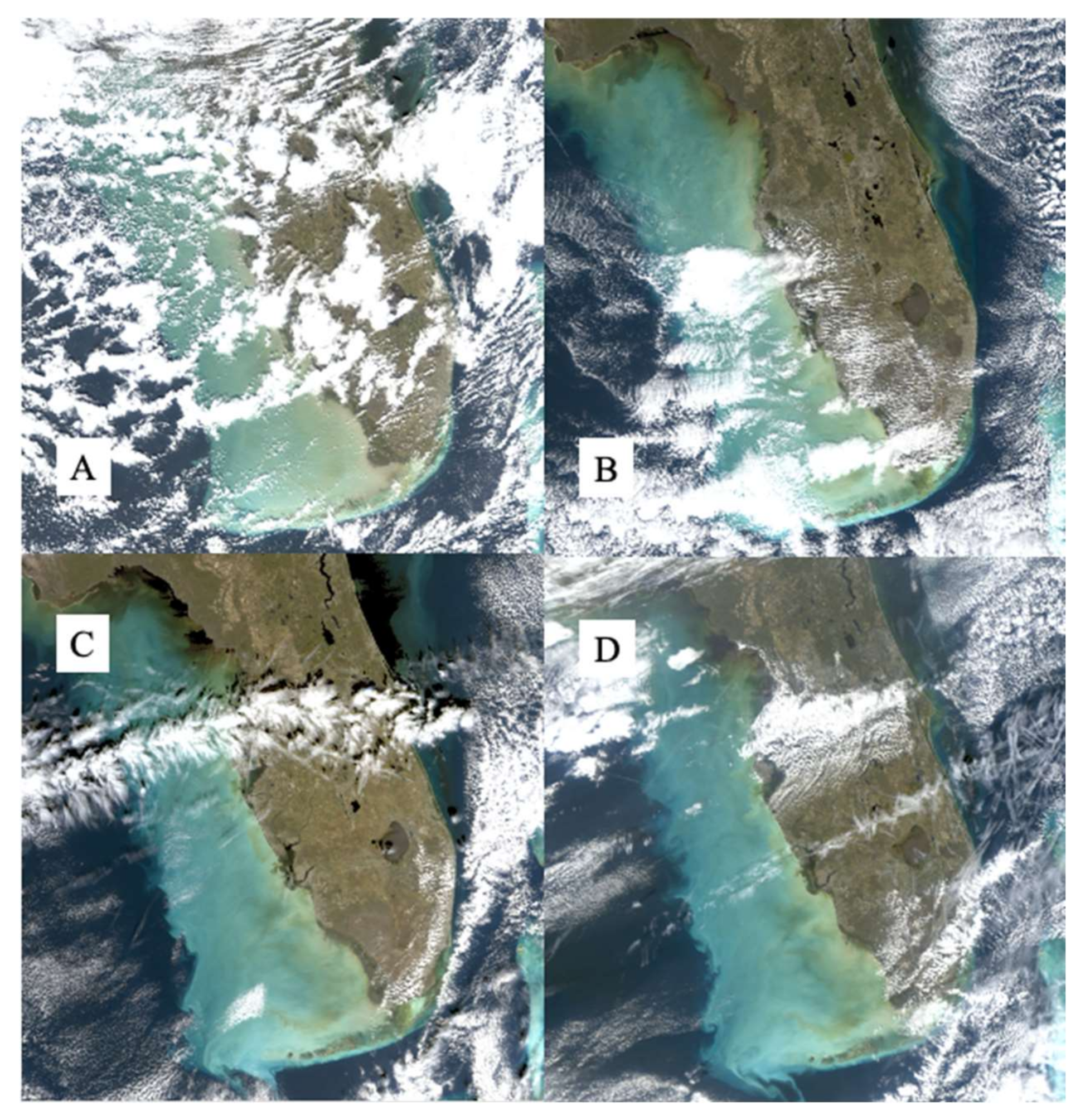 Remotesensing 13 00619 g005