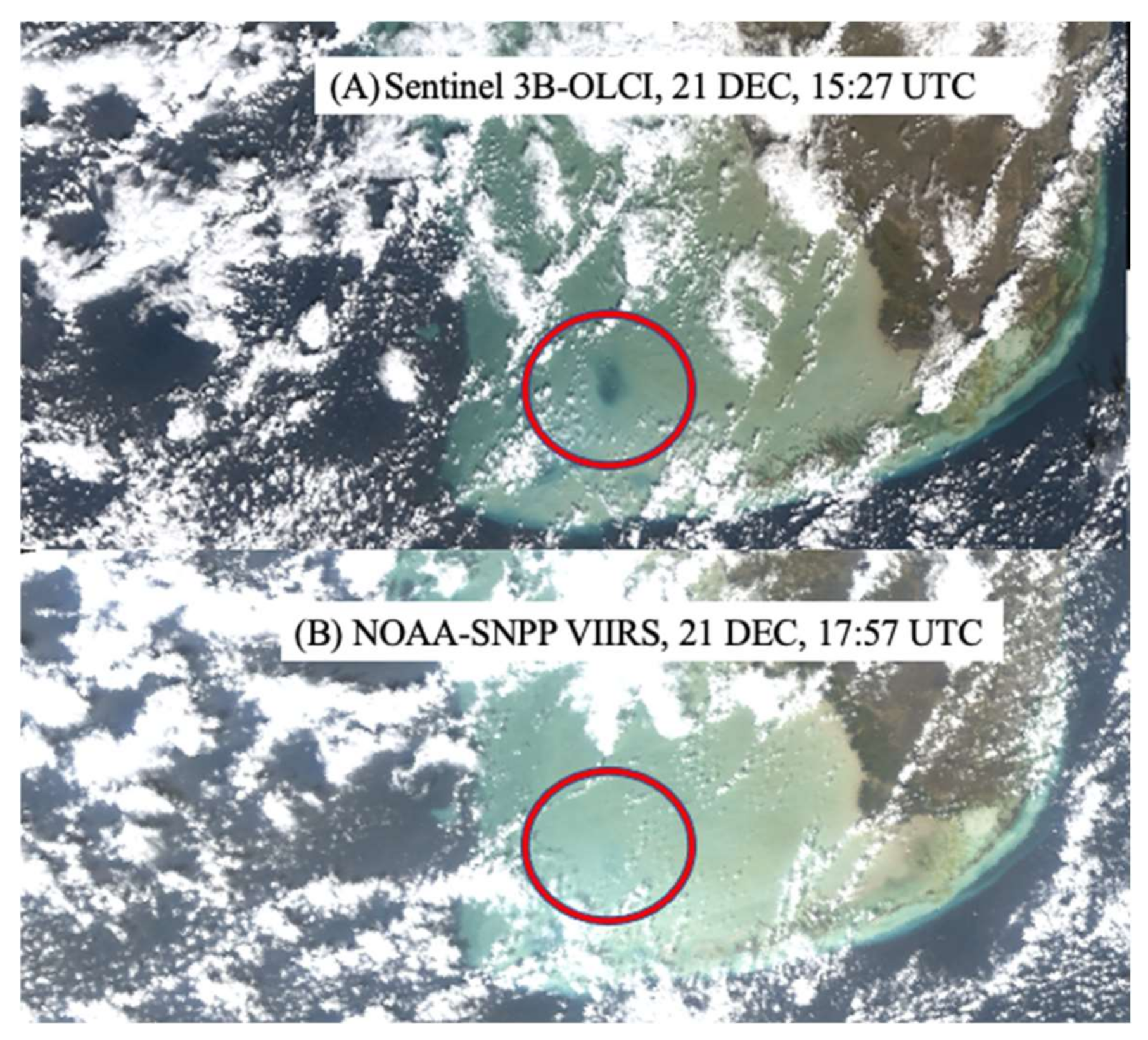 Remotesensing 13 00619 g010