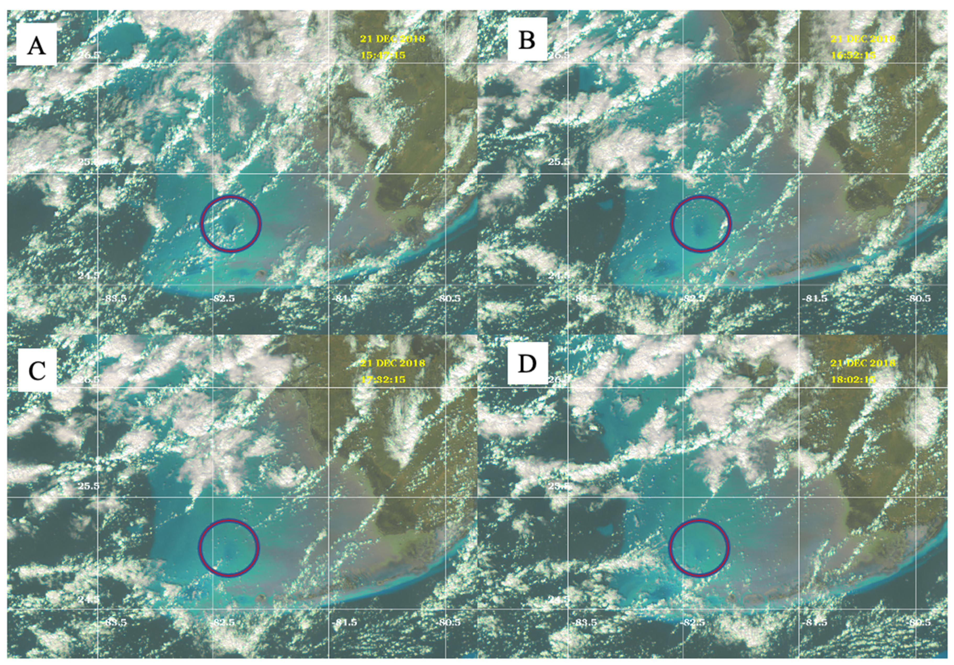 Remotesensing 13 00619 g011
