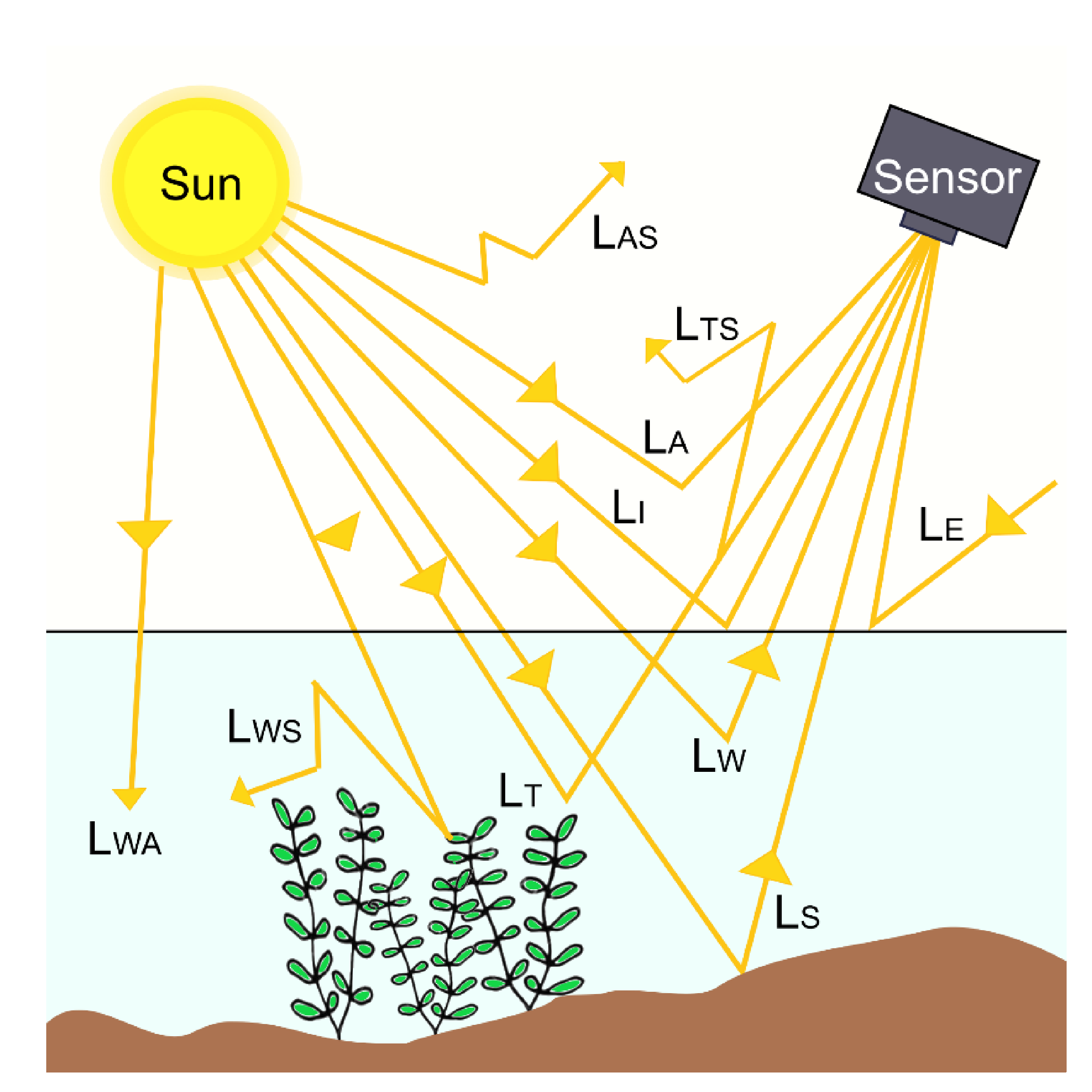 Remotesensing 13 00623 g003
