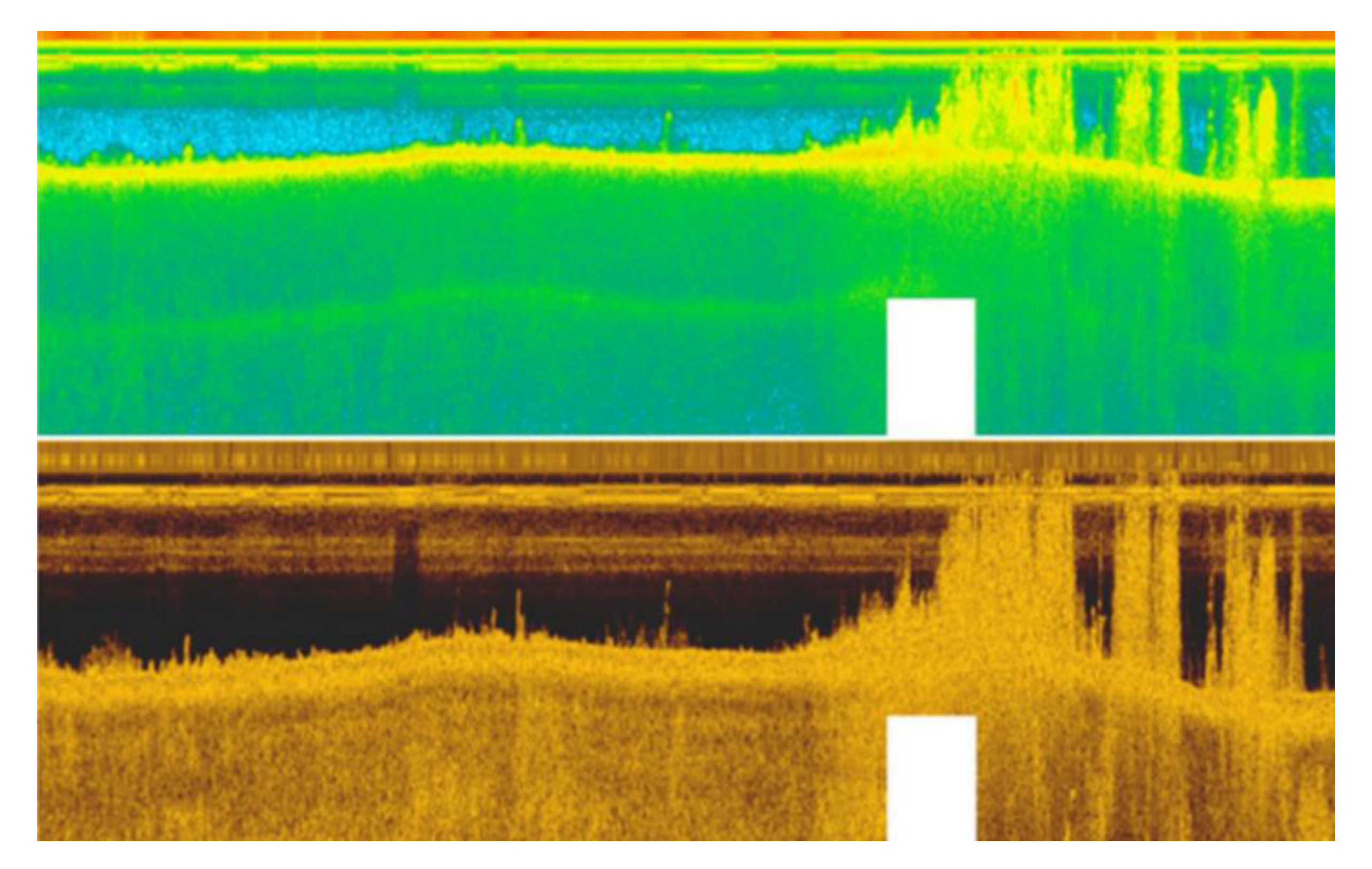 Remotesensing 13 00623 g007