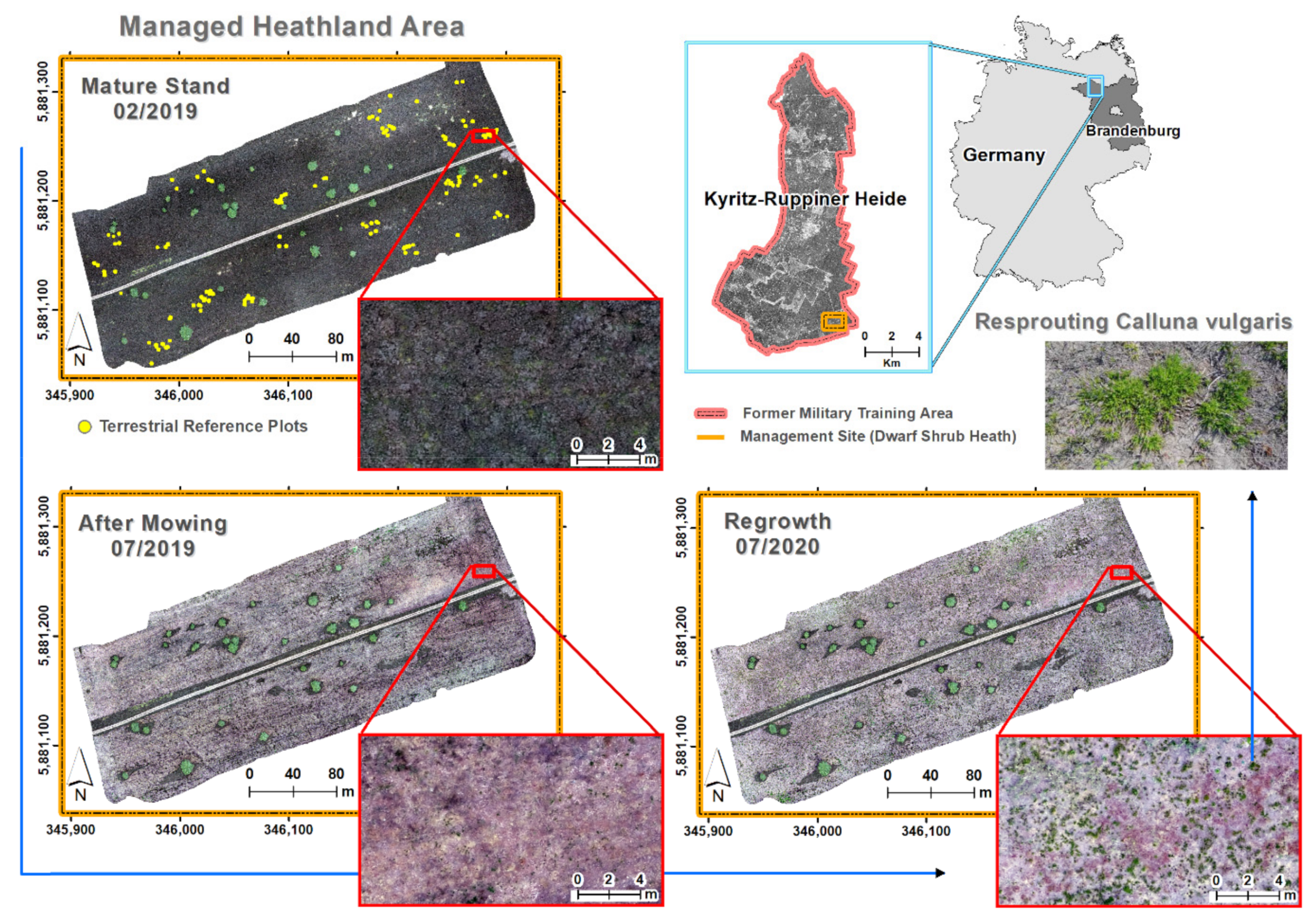 Remotesensing 13 00625 g001