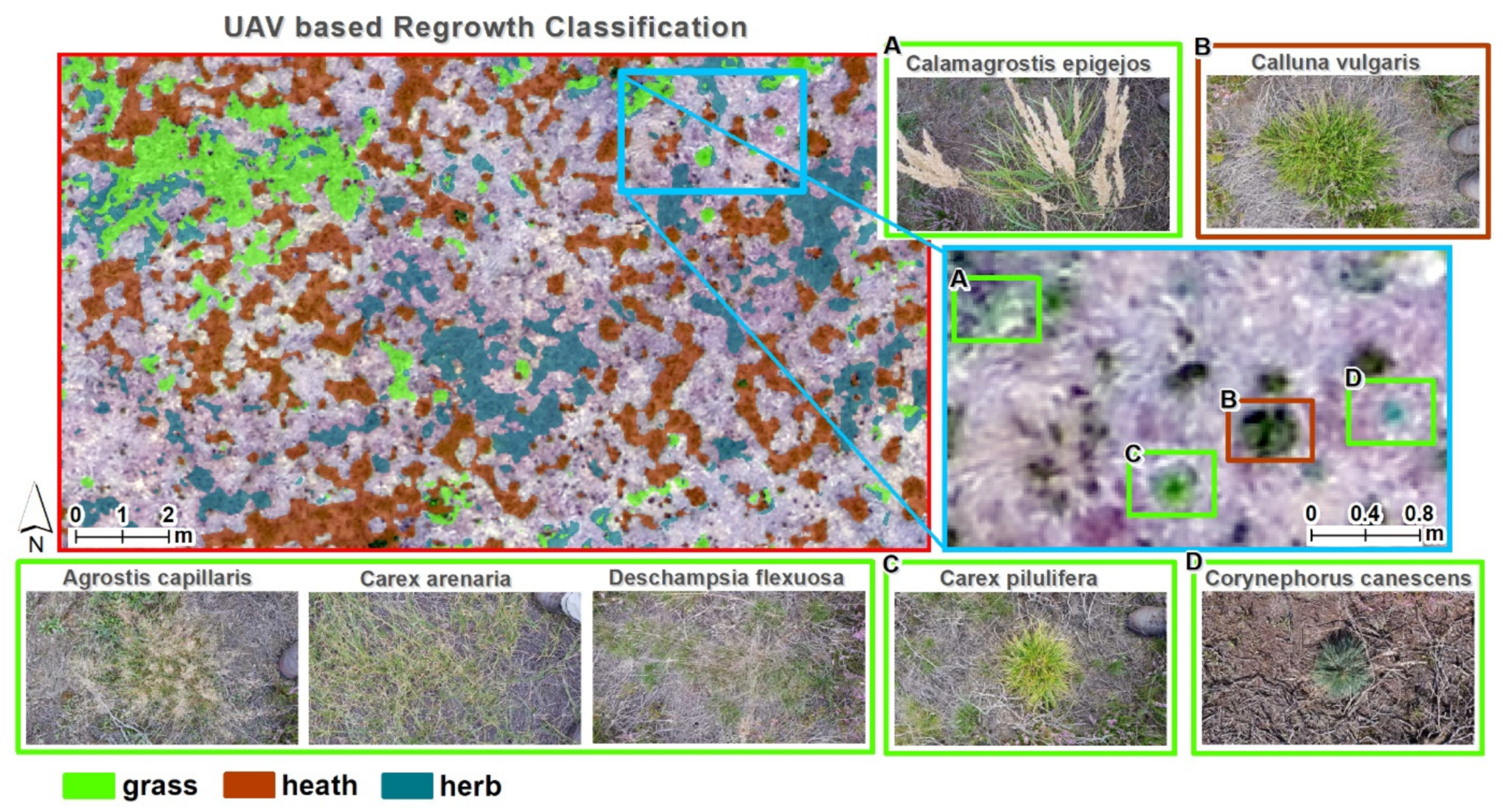 Remotesensing 13 00625 g003