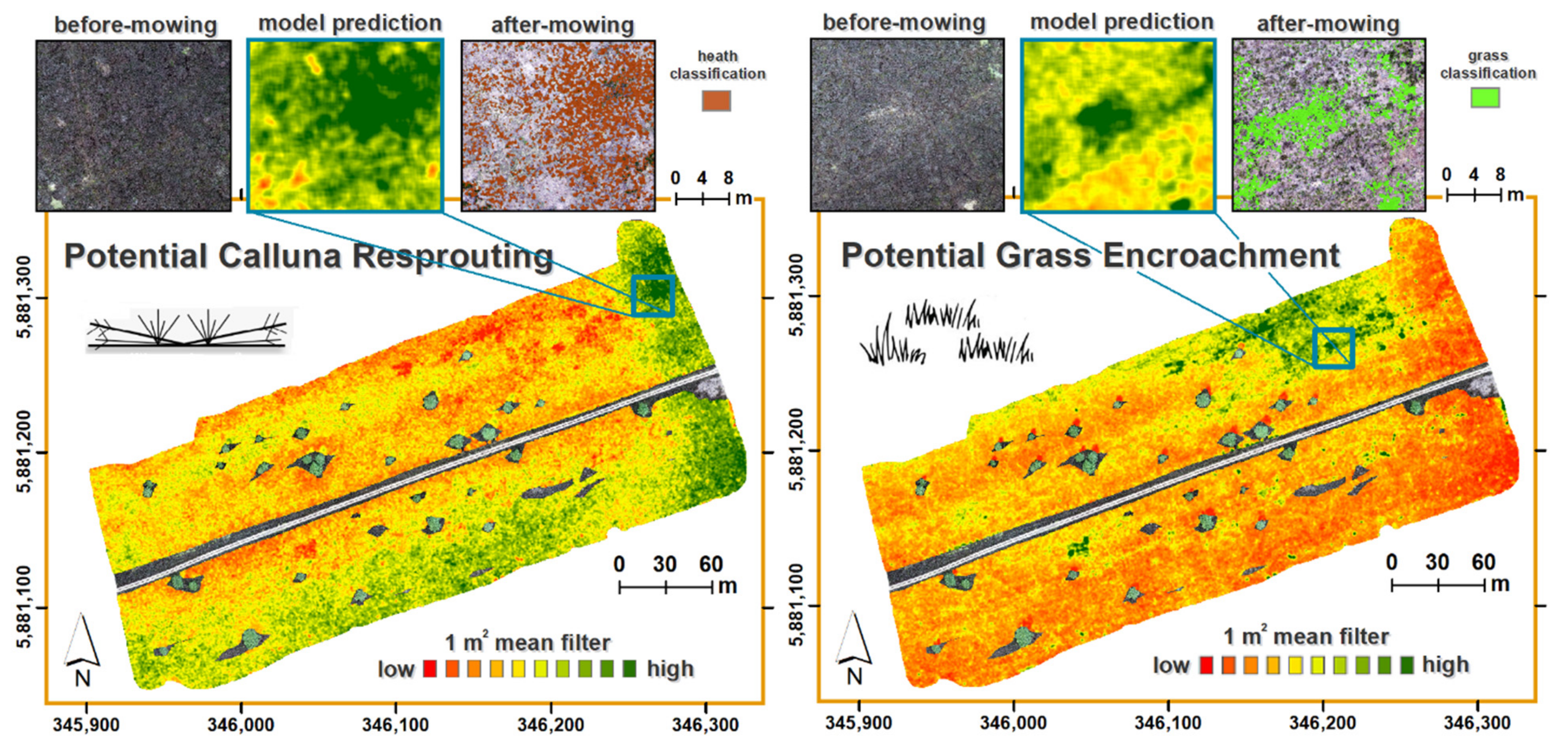 Remotesensing 13 00625 g005