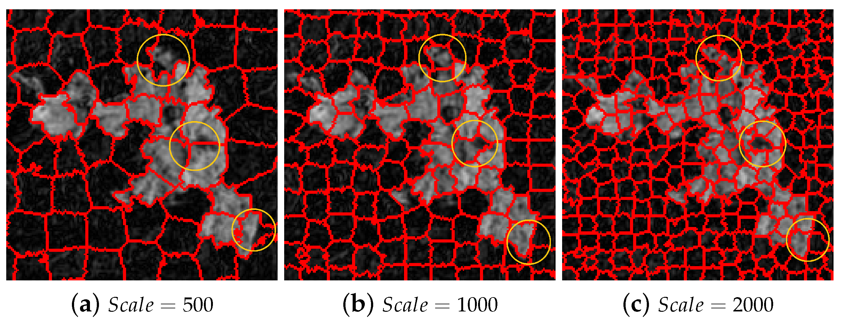 Remotesensing 13 00630 g003