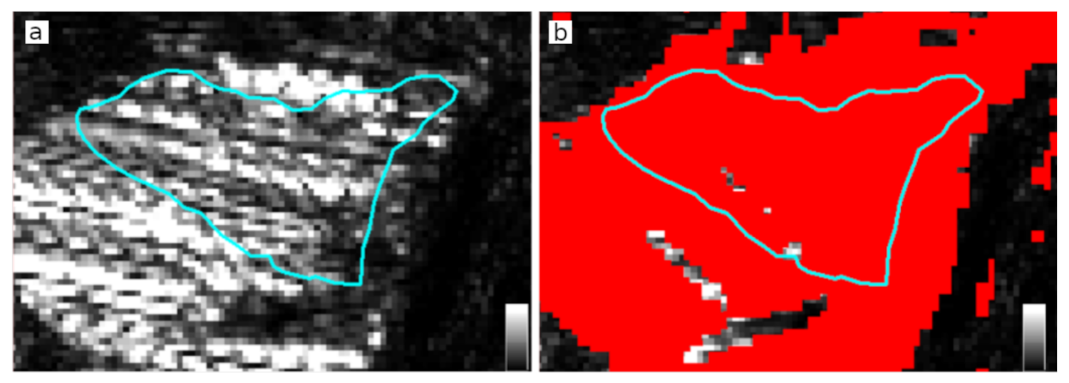 Remotesensing 13 00644 g004
