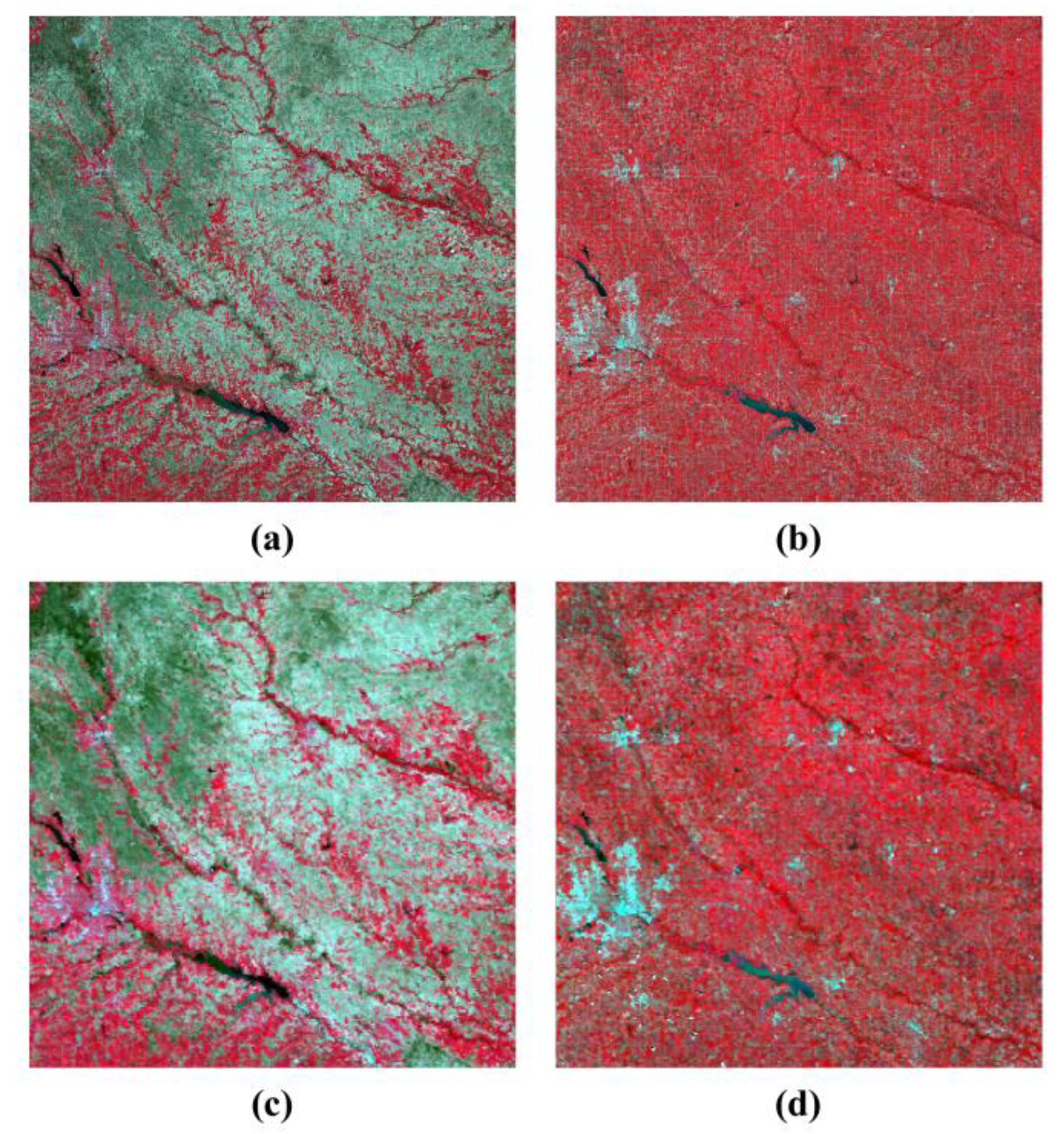 Remotesensing 13 00645 g004