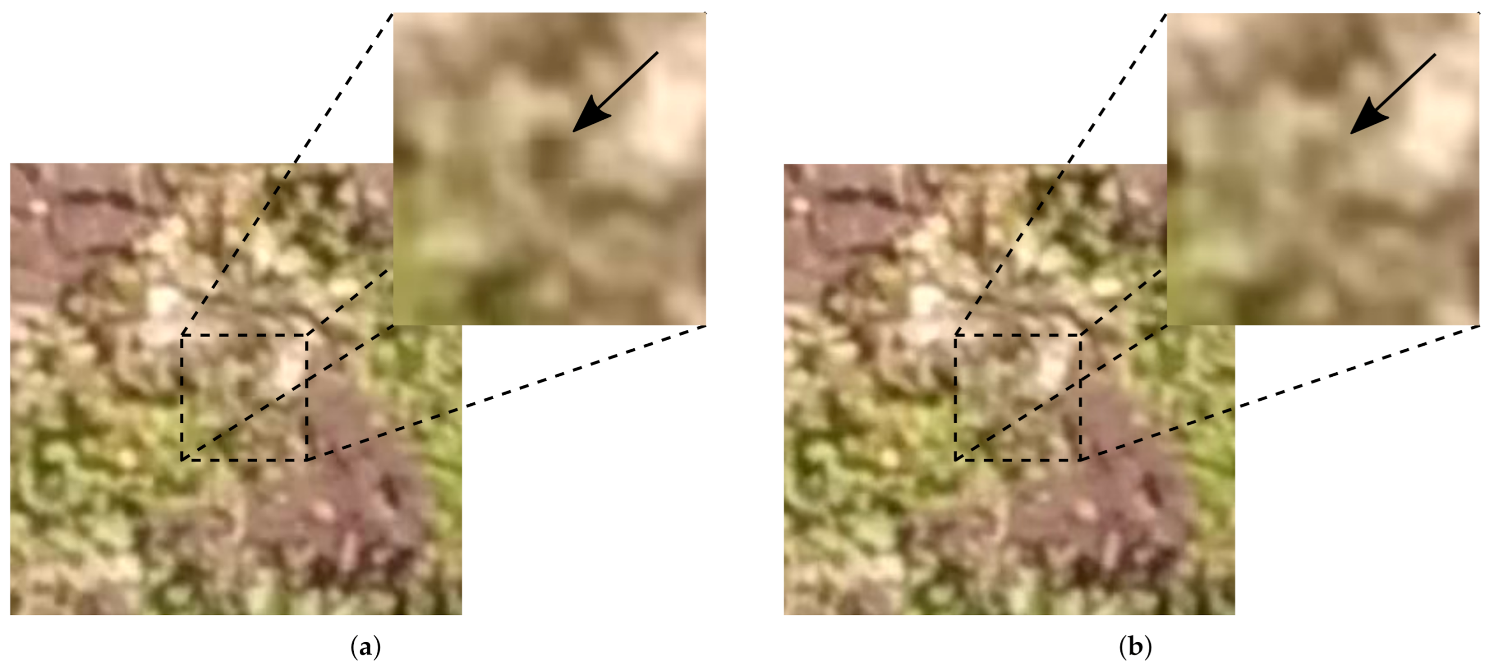 Remotesensing 13 00653 g001