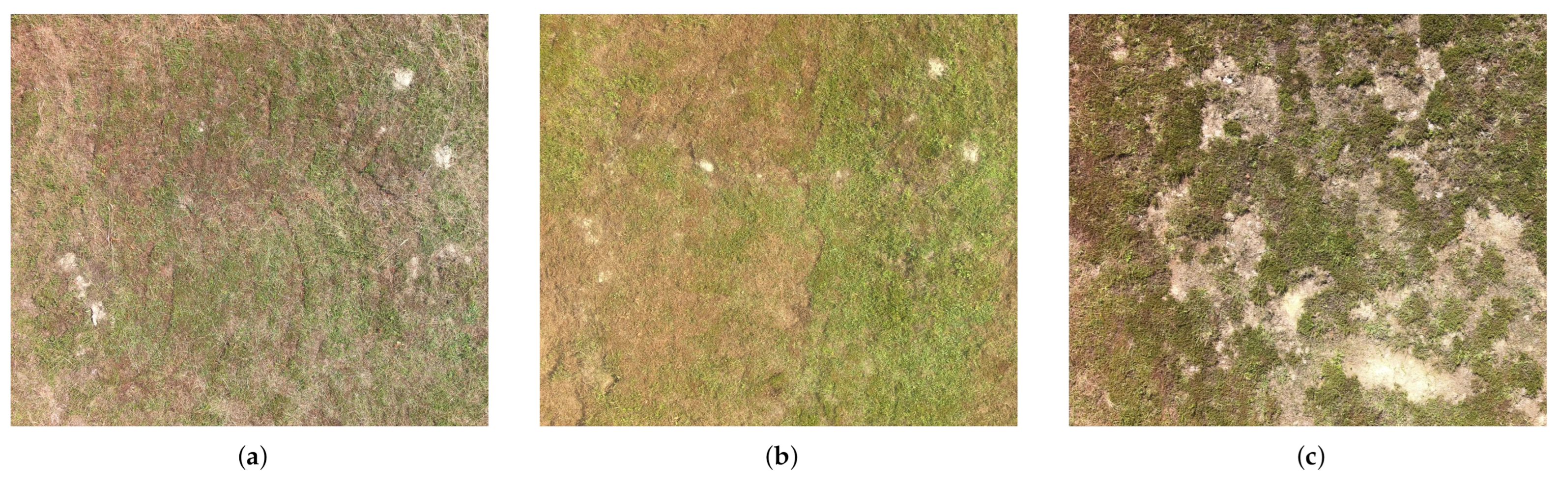 Remotesensing 13 00653 g003