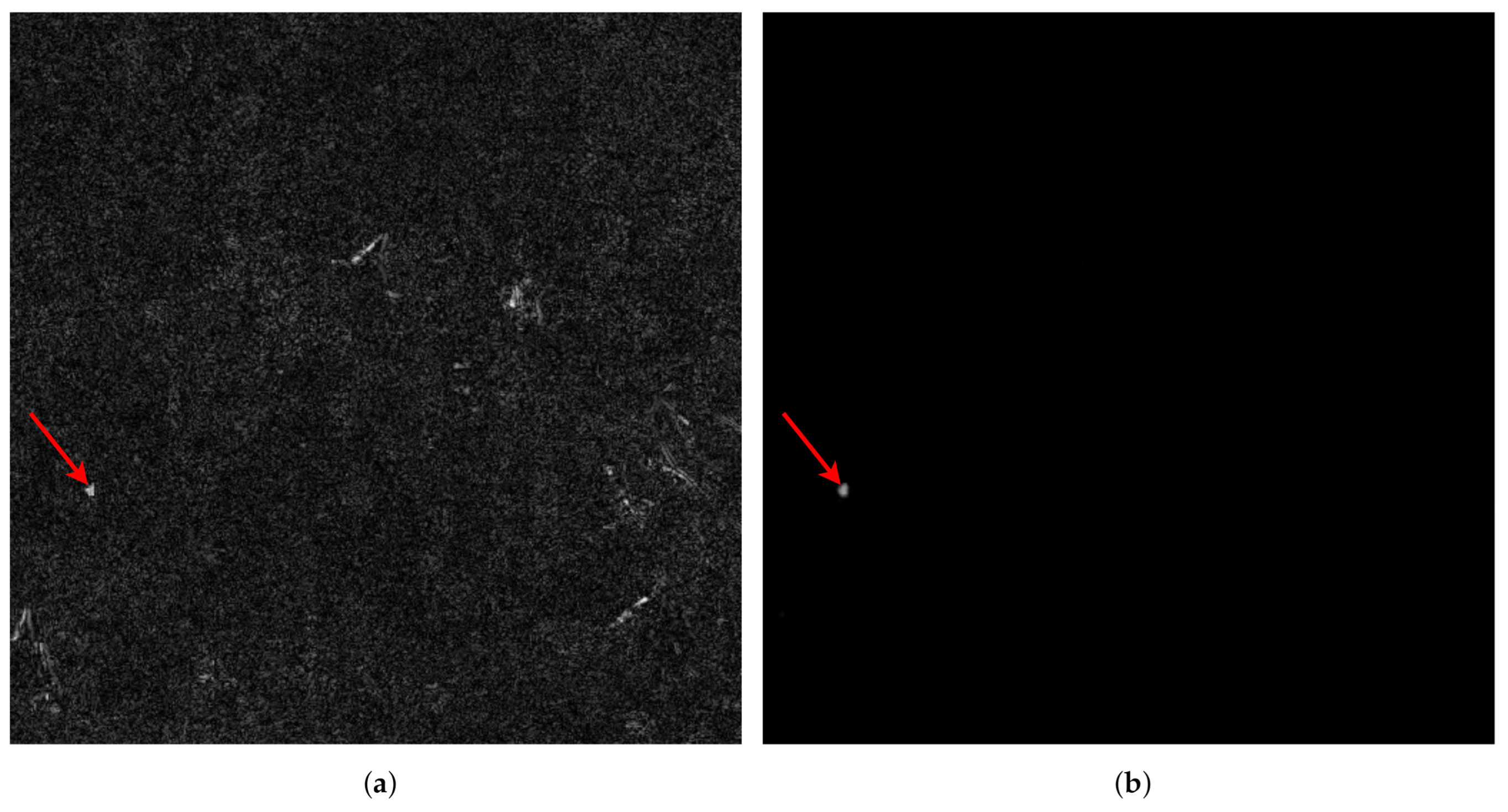 Remotesensing 13 00653 g005