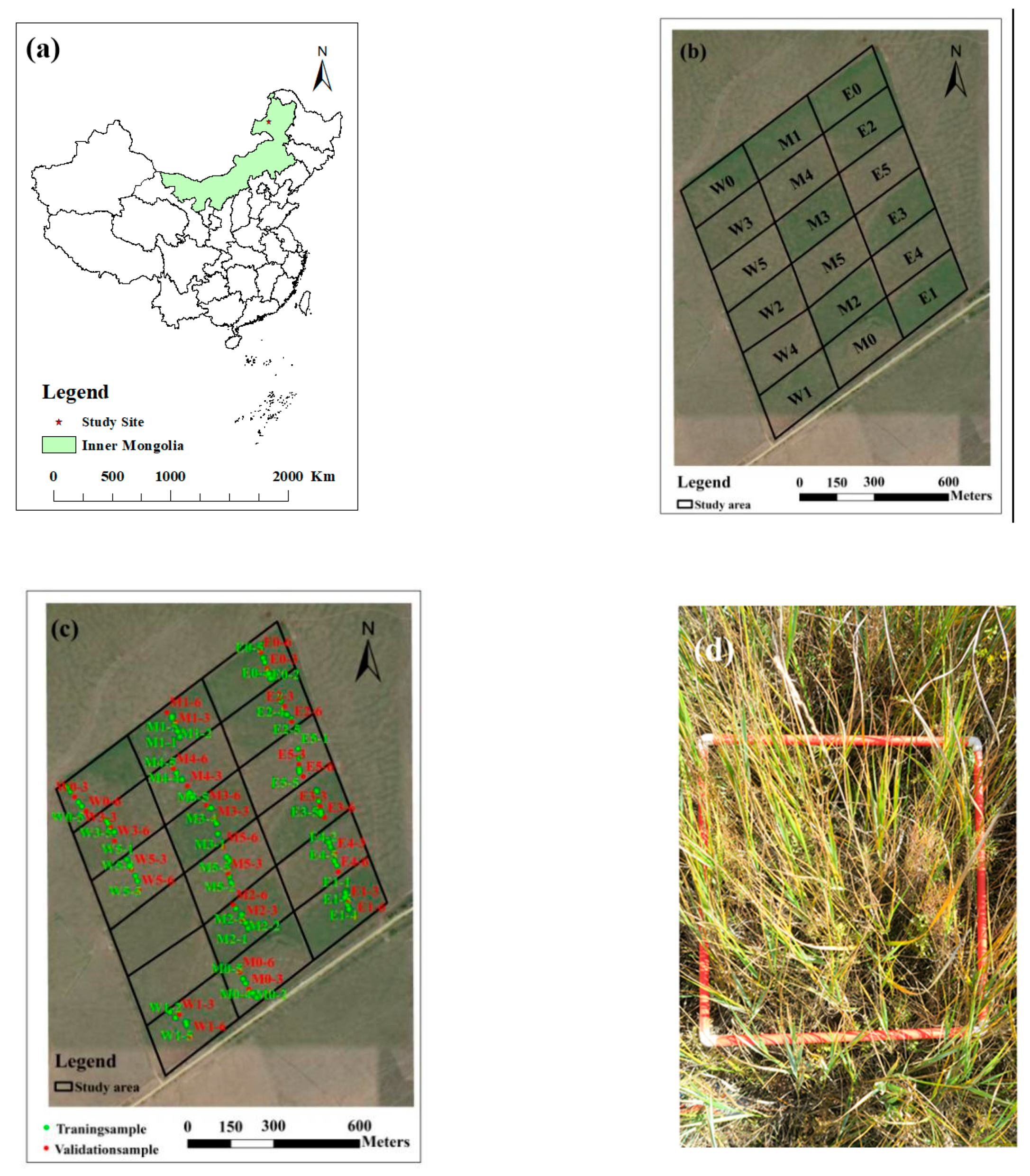 Remotesensing 13 00656 g001