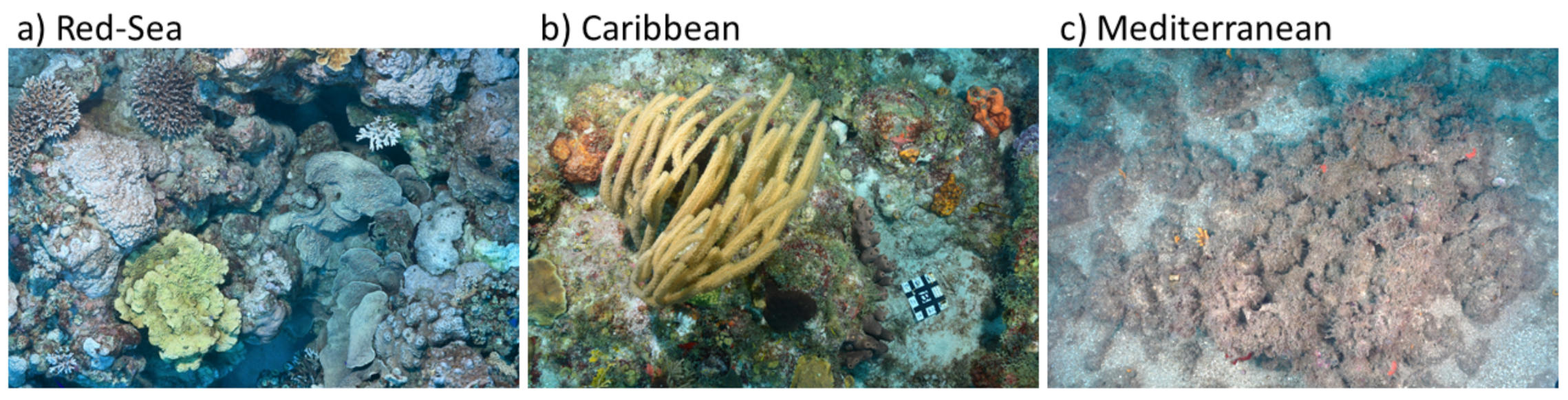 Remotesensing 13 00659 g002 Remotesensing 13 00659 g002