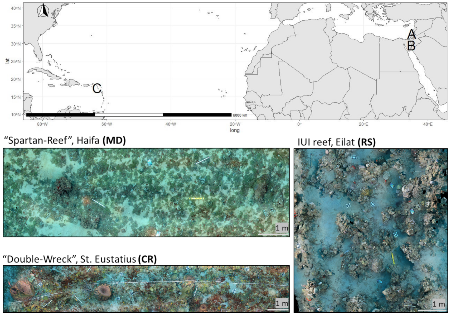 Remotesensing 13 00659 g004 Remotesensing 13 00659 g004