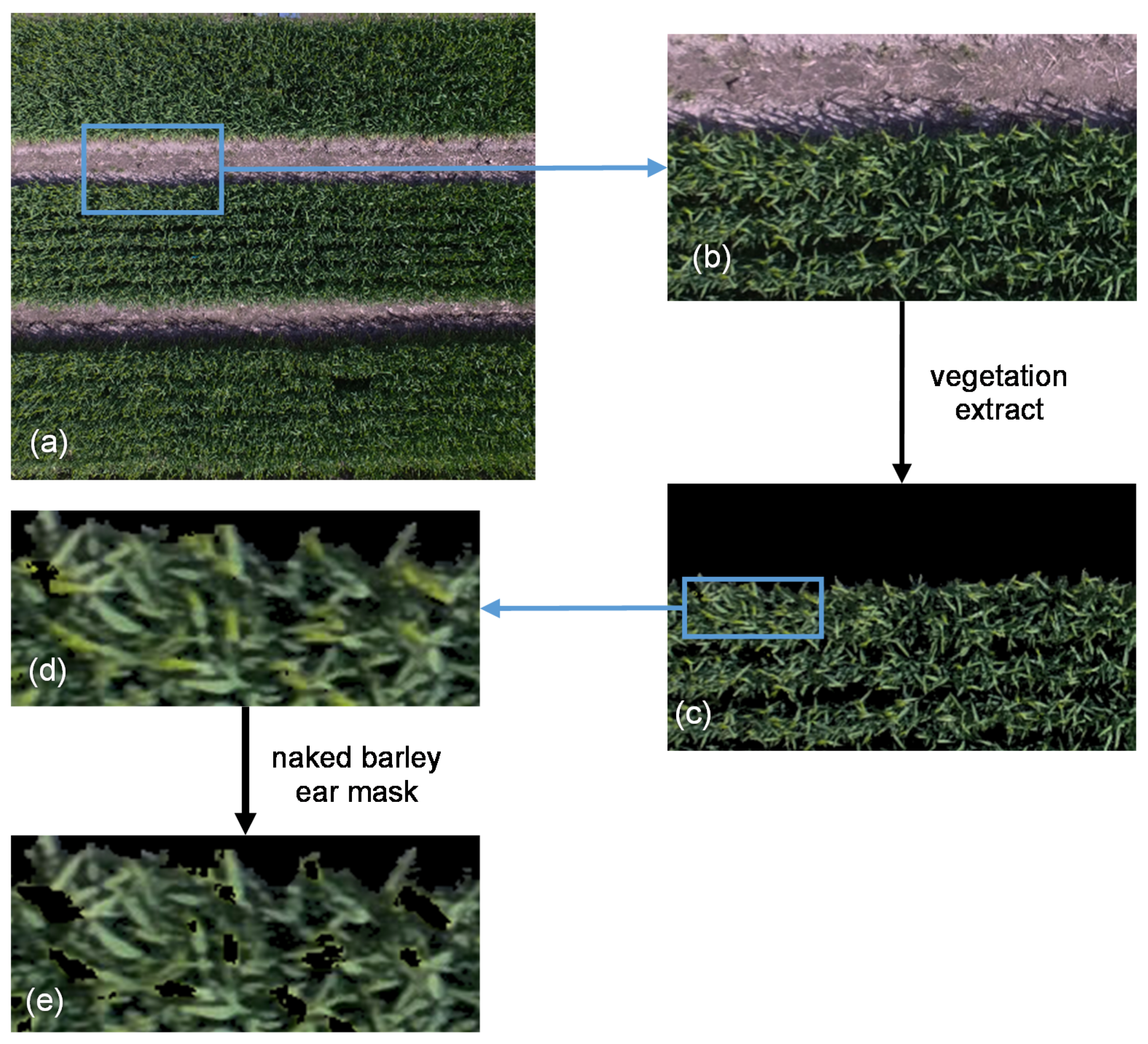 Remotesensing 13 00686 g004