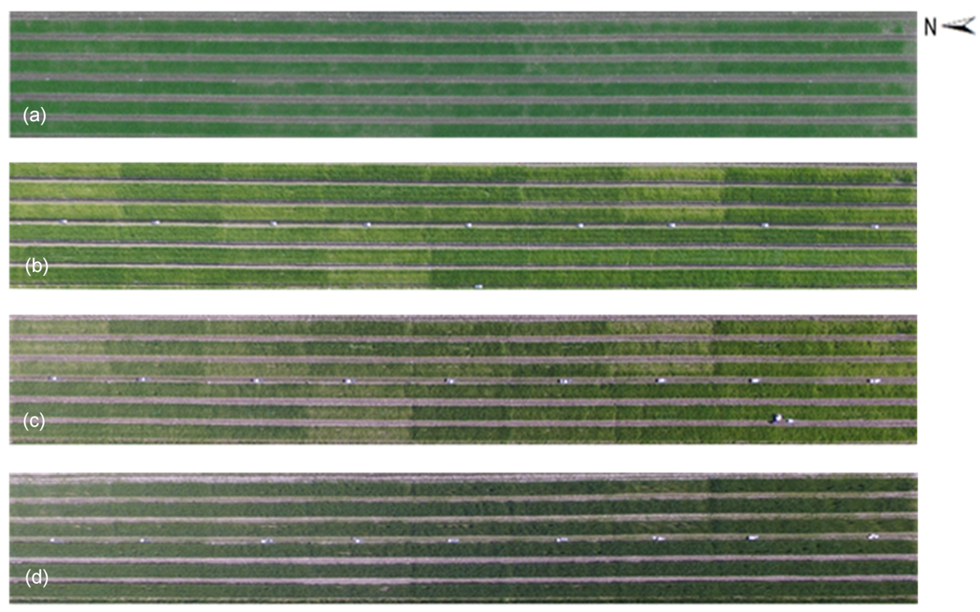 Remotesensing 13 00686 g006