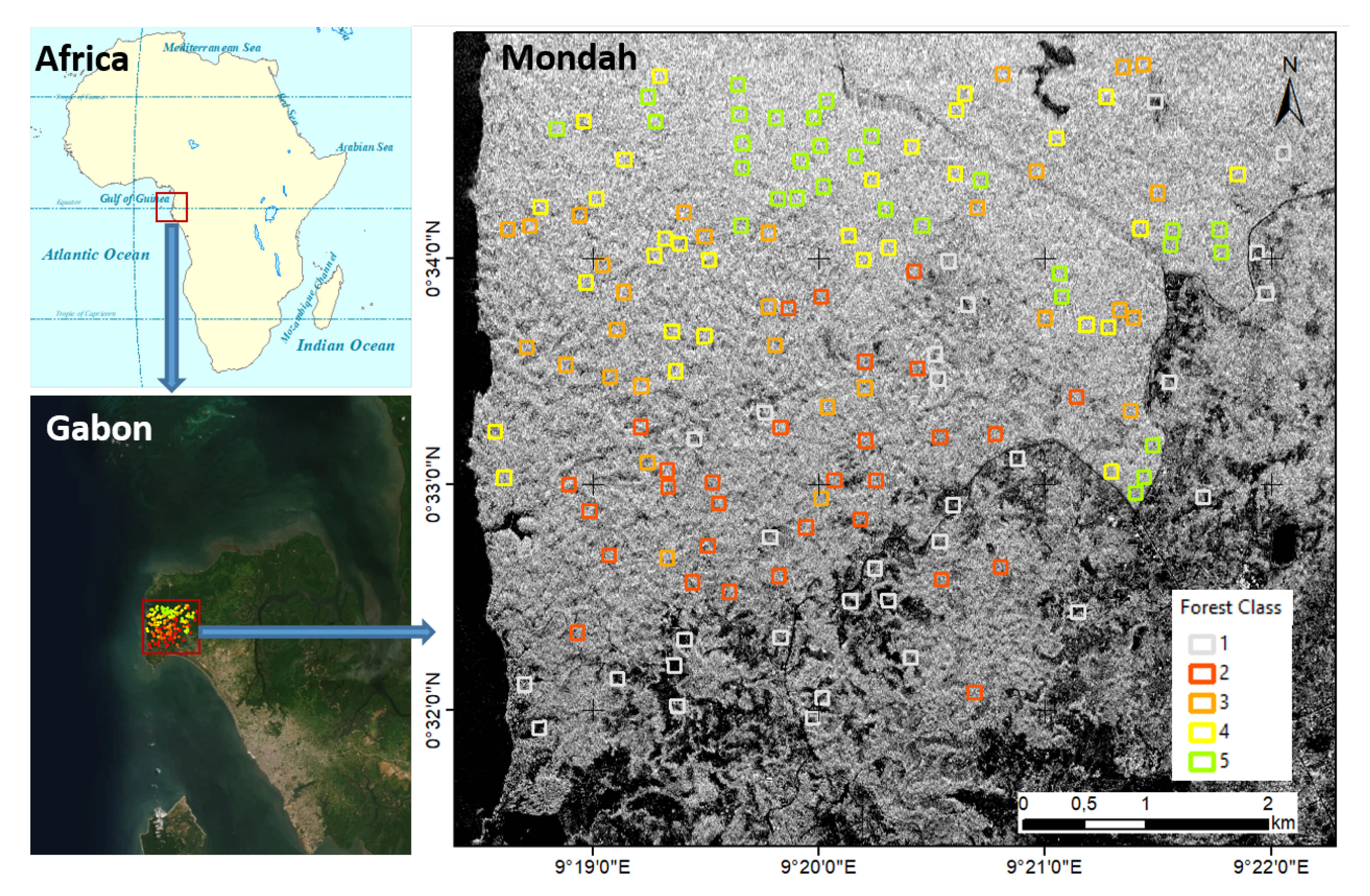 Remotesensing 13 00696 g001