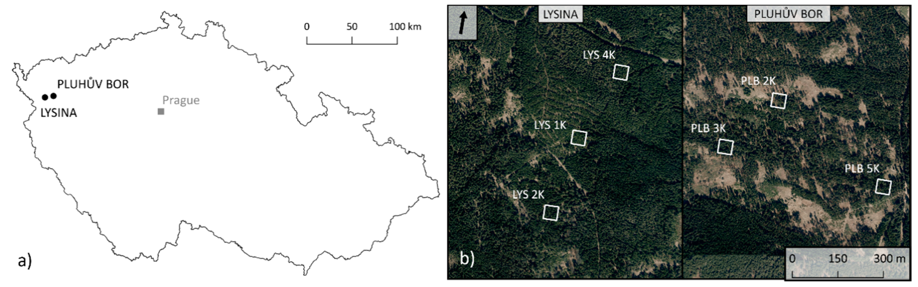 Remotesensing 13 00705 g001
