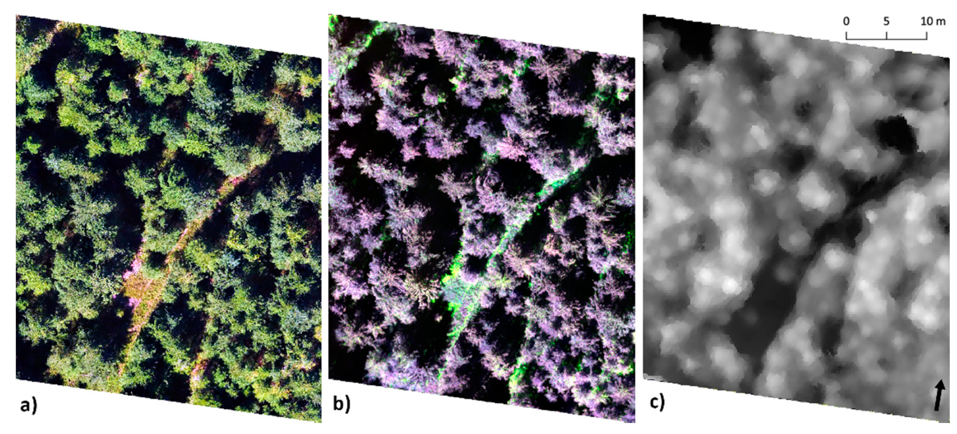 Remotesensing 13 00705 g006