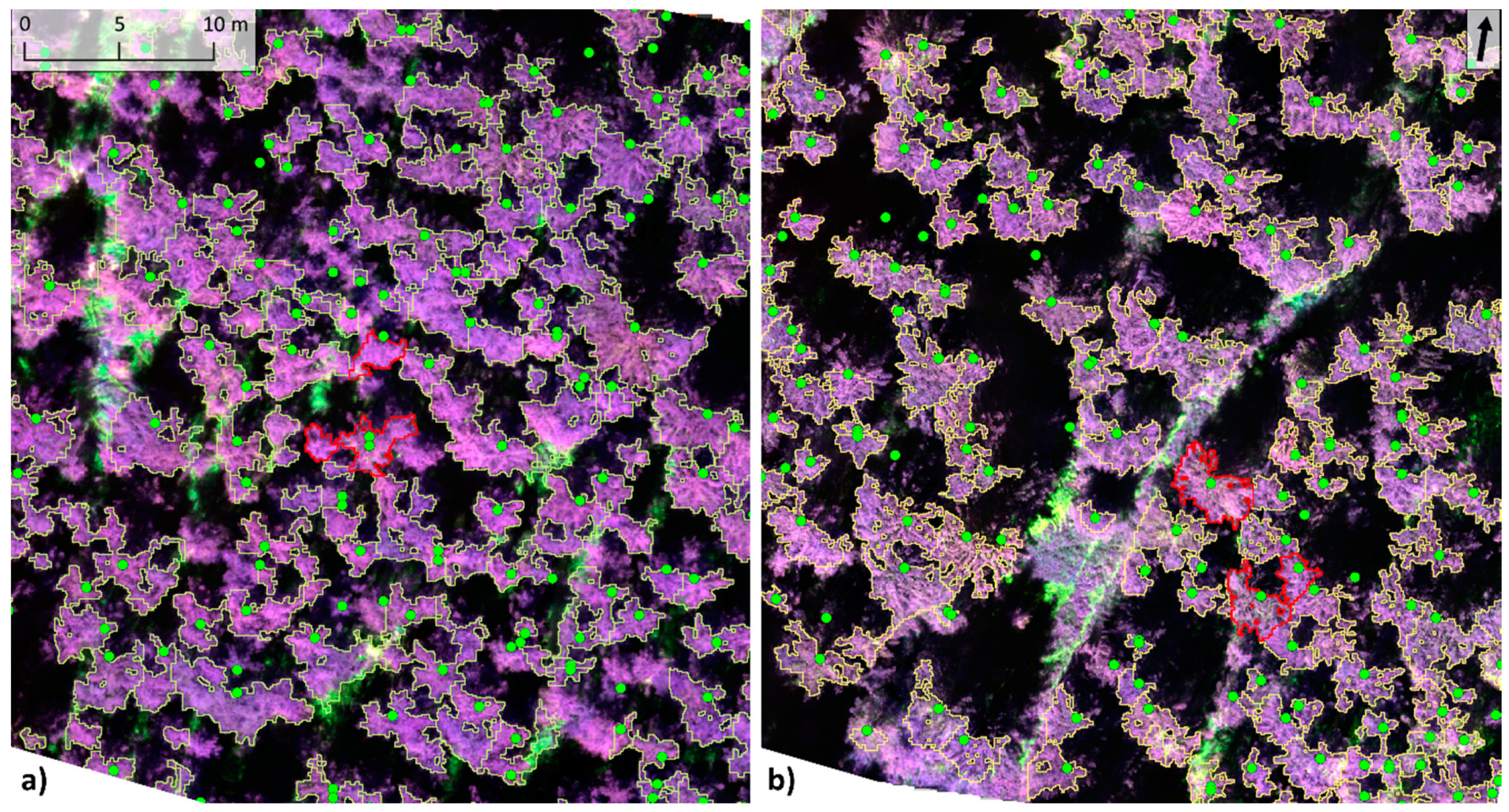 Remotesensing 13 00705 g007