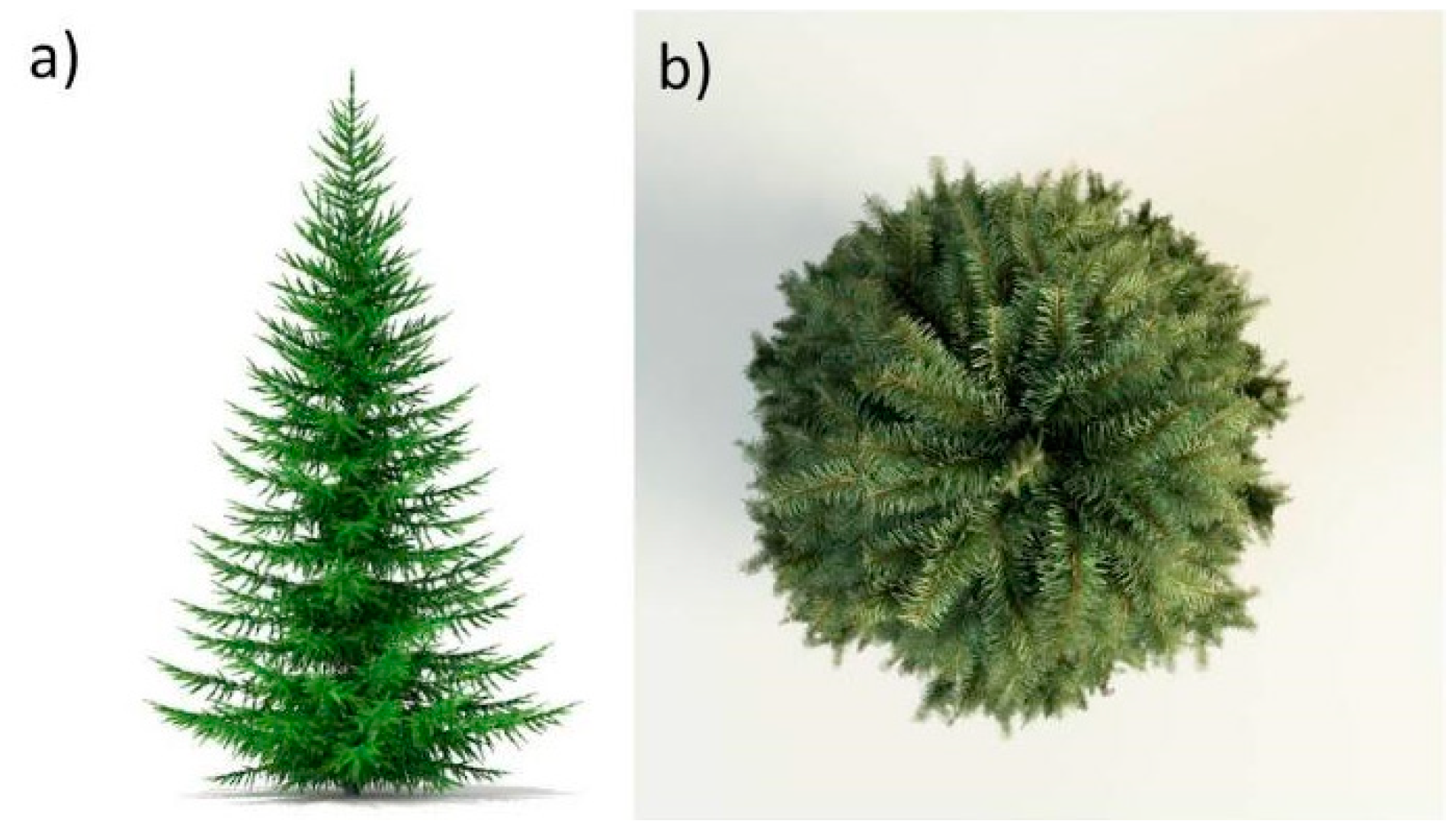 Remotesensing 13 00705 g0a3