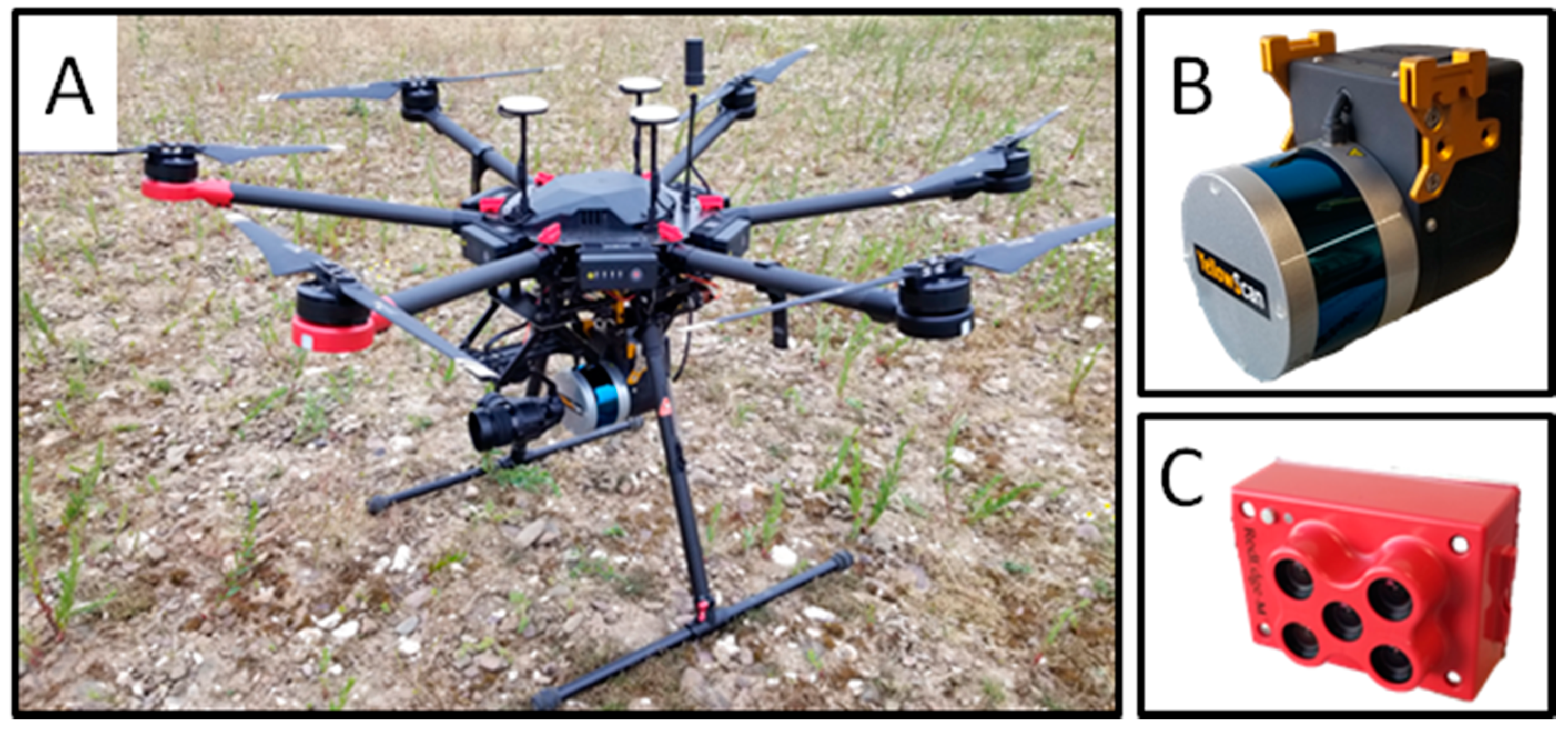 Remotesensing 13 00710 g001