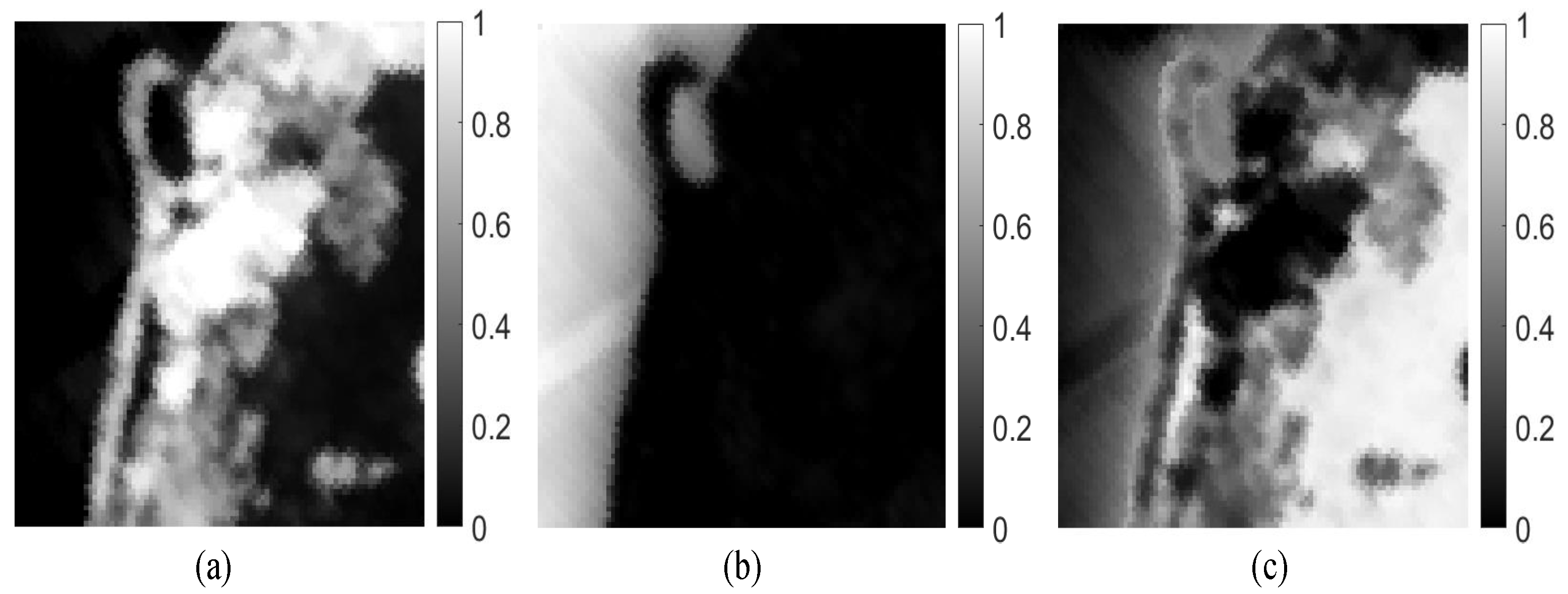 Remotesensing 13 00713 g009