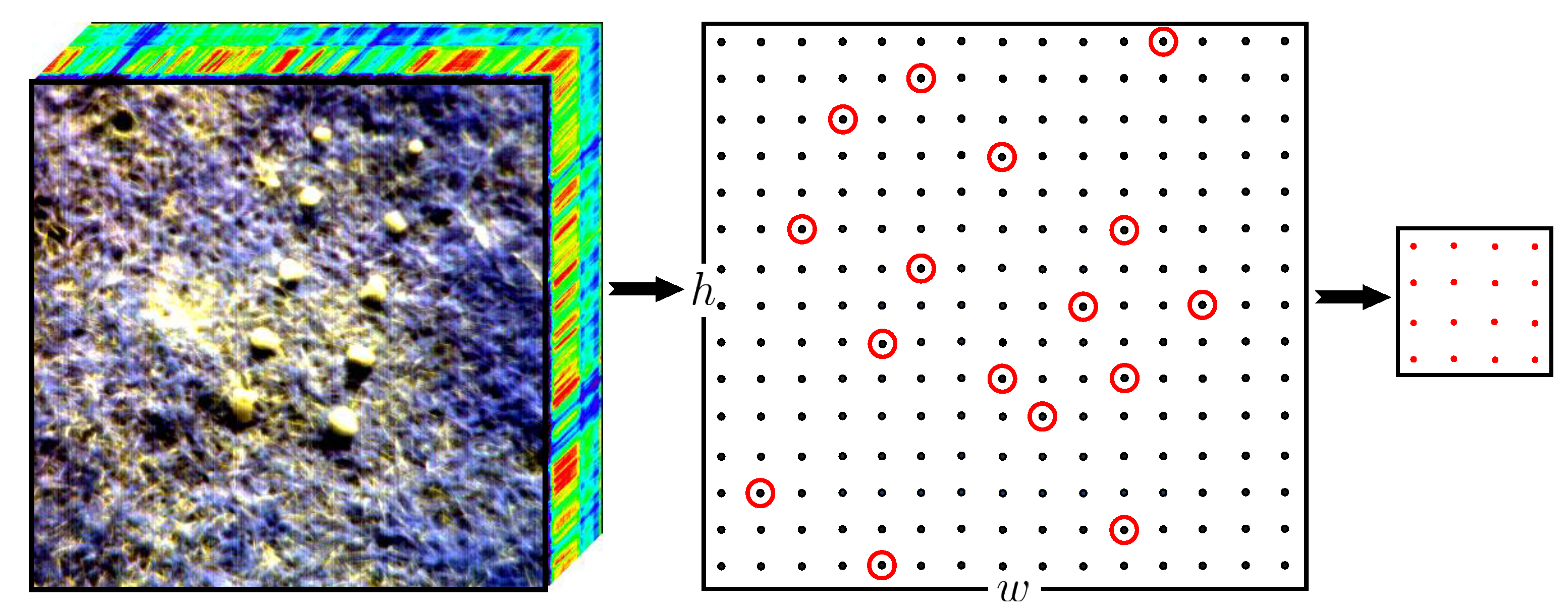 Remotesensing 13 00721 g002