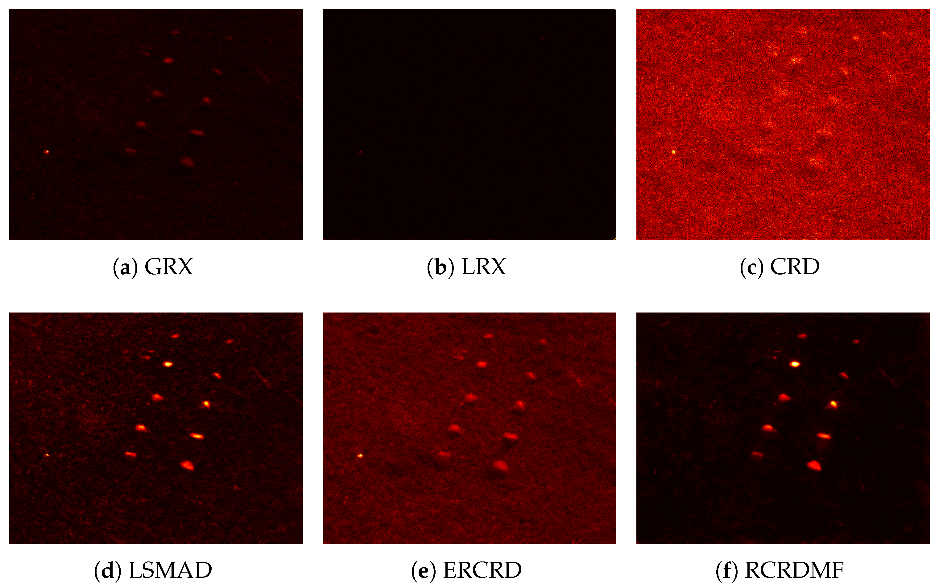 Remotesensing 13 00721 g011