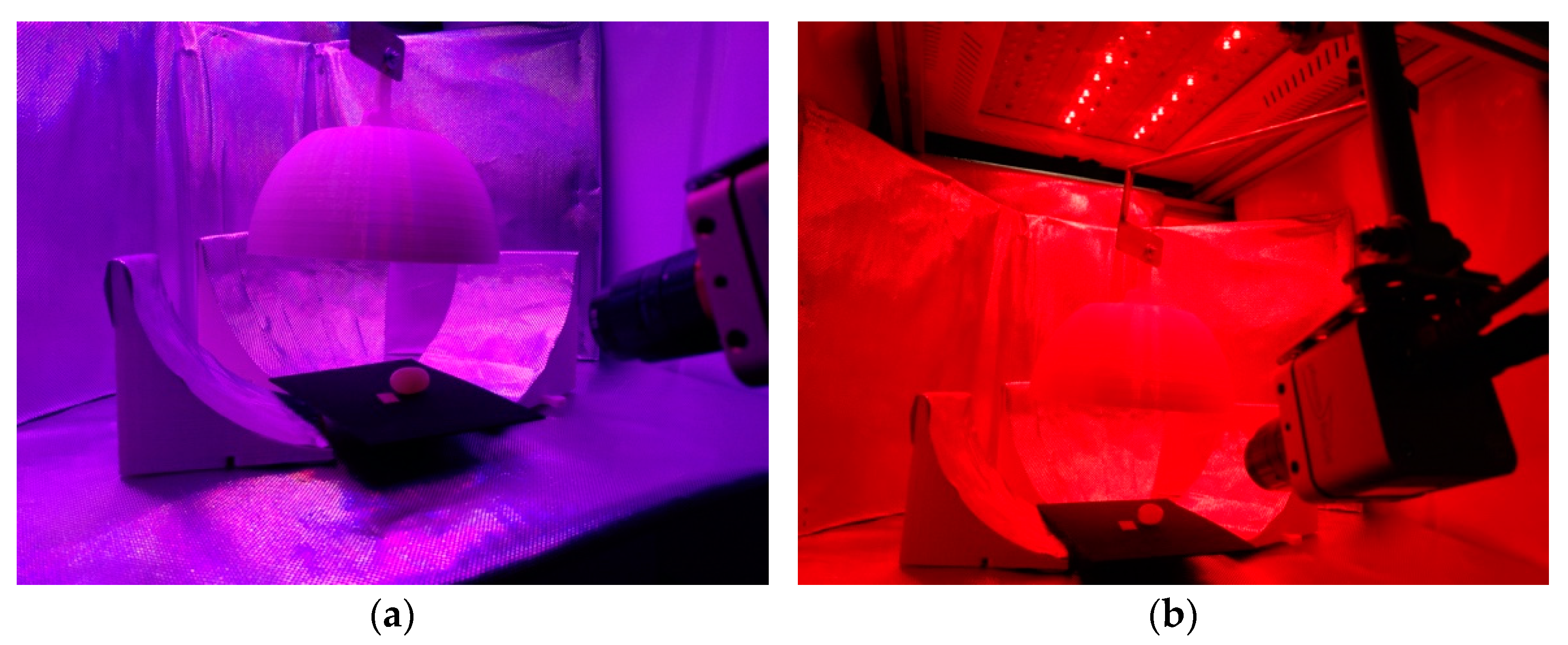 Remotesensing 13 00729 g006