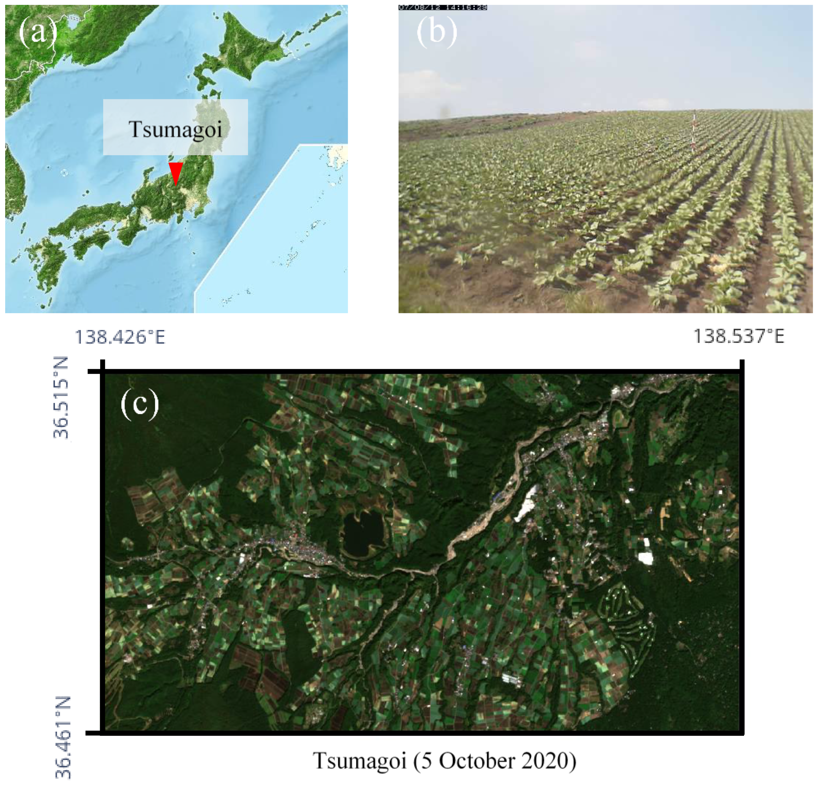 Remotesensing 13 00732 g001