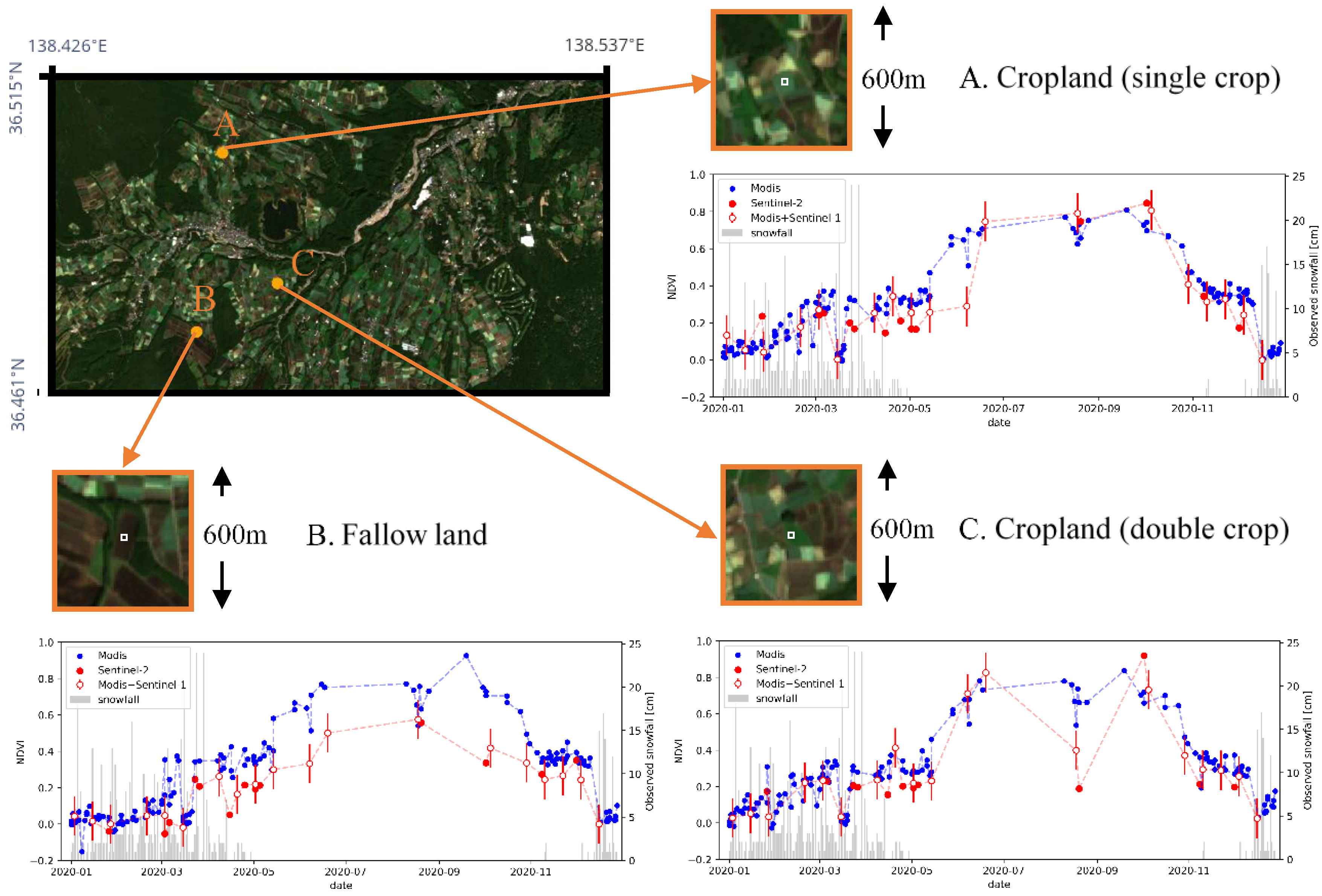 Remotesensing 13 00732 g011