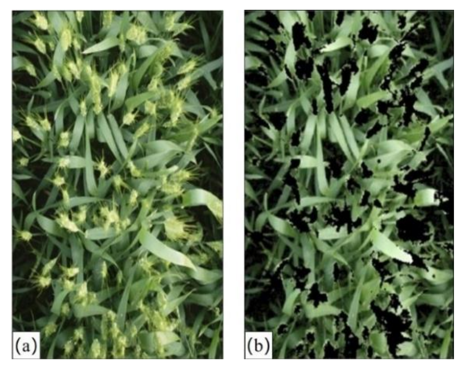 Remotesensing 13 00739 g005