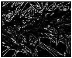 Remotesensing 13 00739 i002