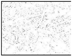 Remotesensing 13 00739 i003