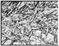 Remotesensing 13 00739 i004